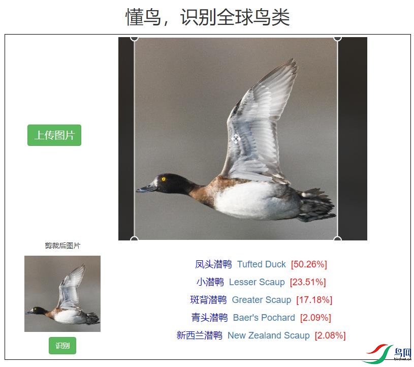 DSC_0863ʶ�񣨷�ͷǱѼʶ������.jpg