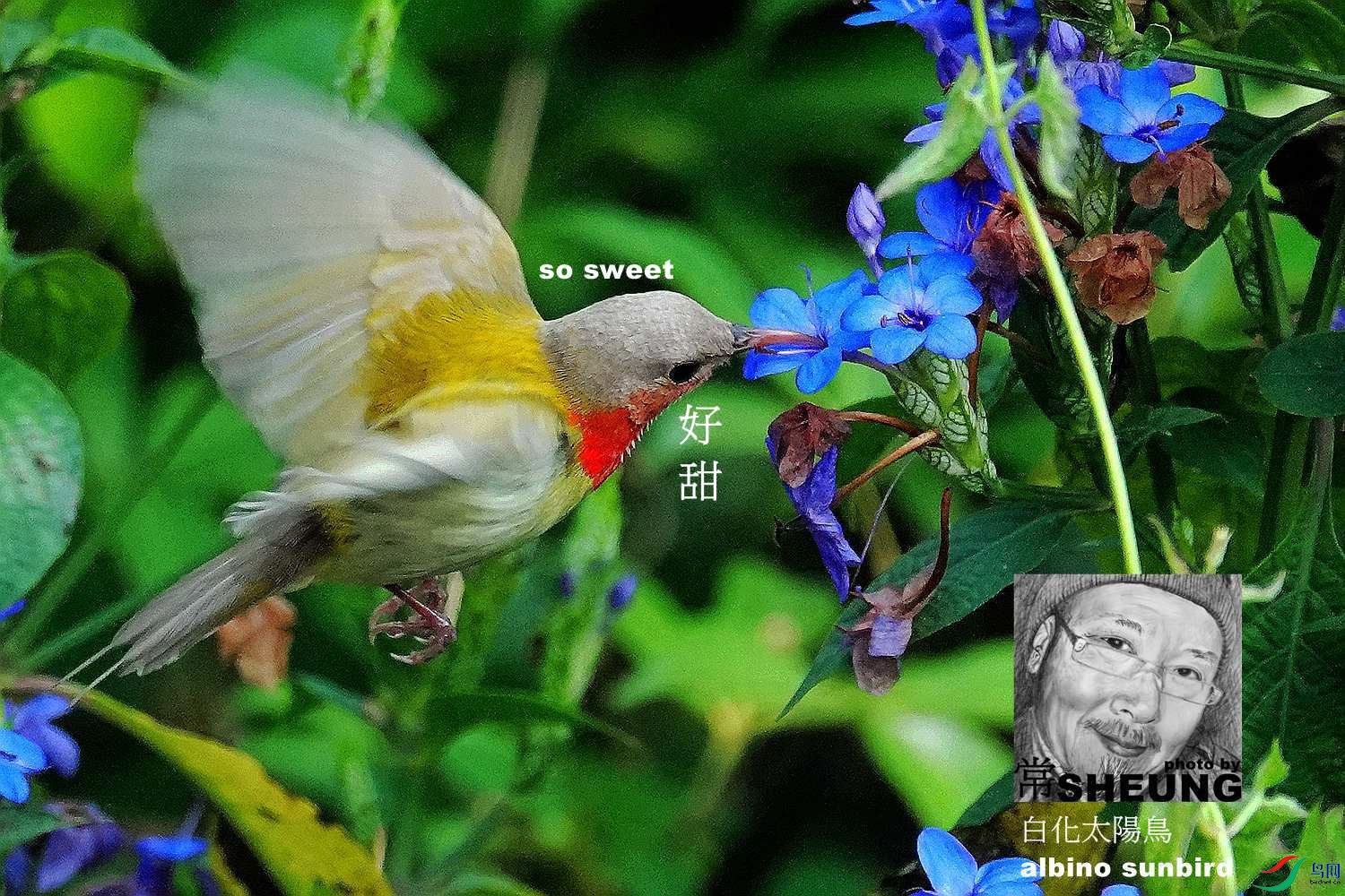 sd DSC05765 3nmete.jpg