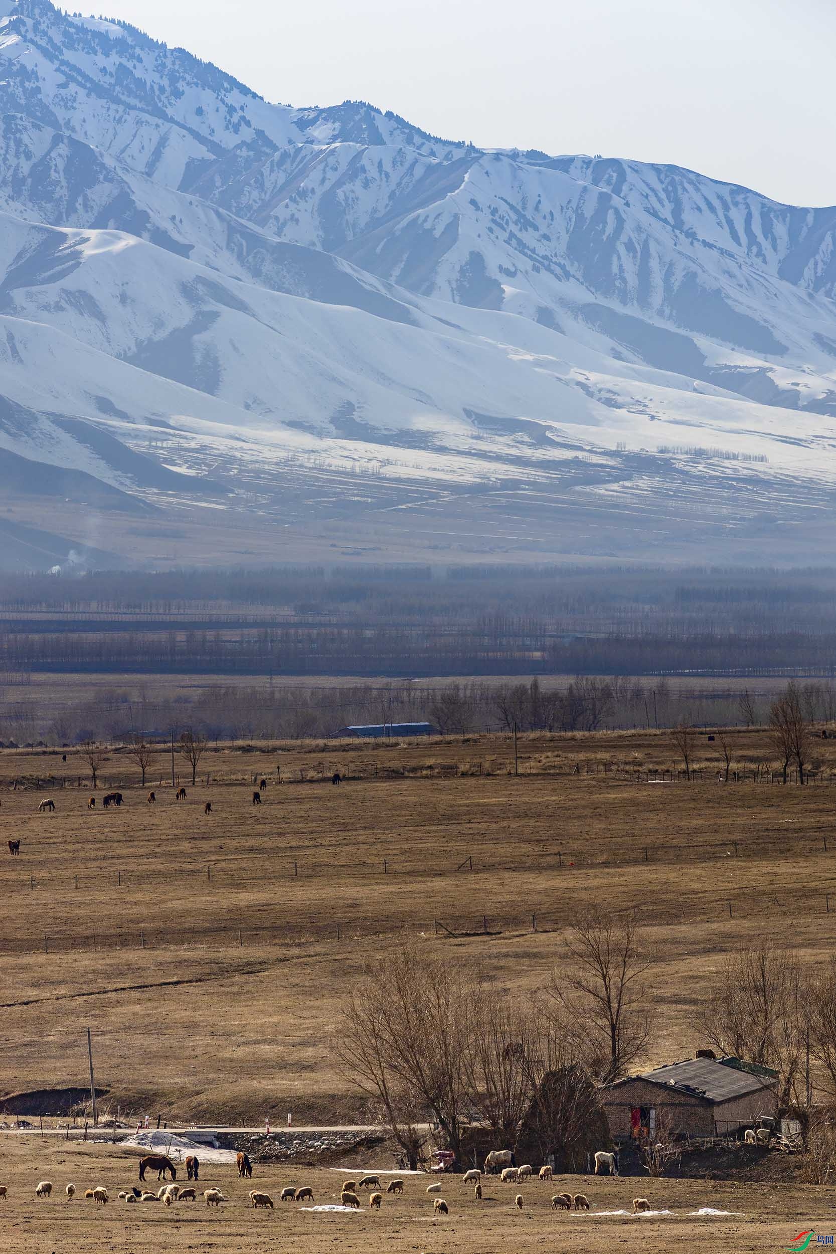 _DSC0882-1-1.jpg