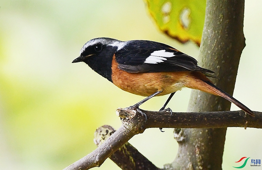 DSC_5213.JPG