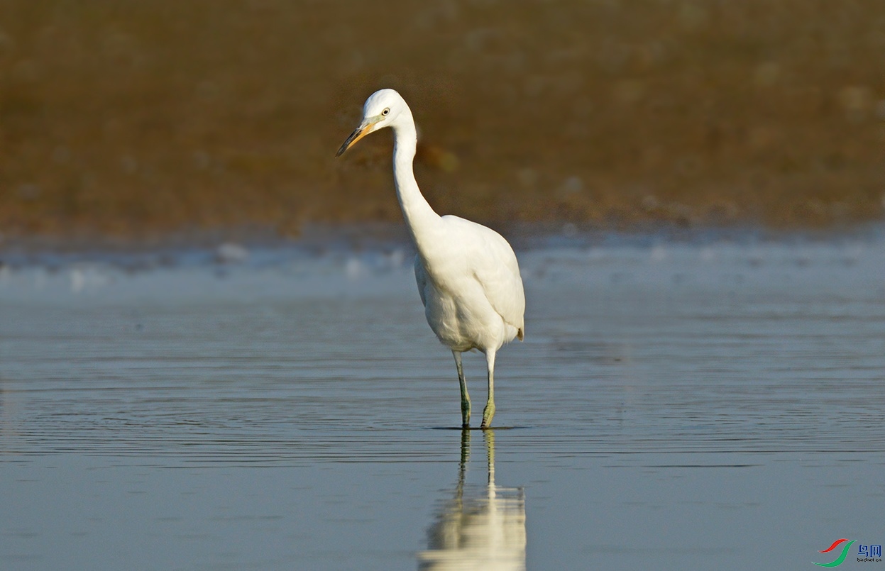 DSC_0847.jpg