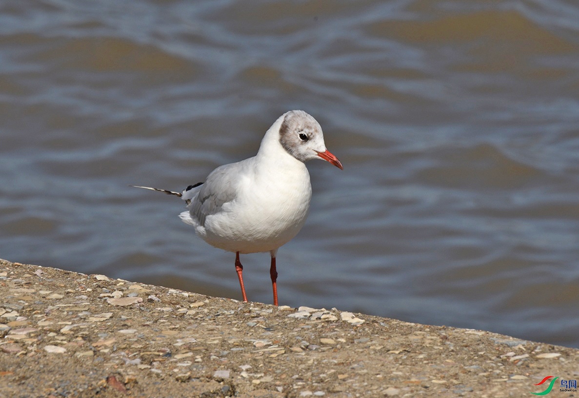DSC_5167f.jpg