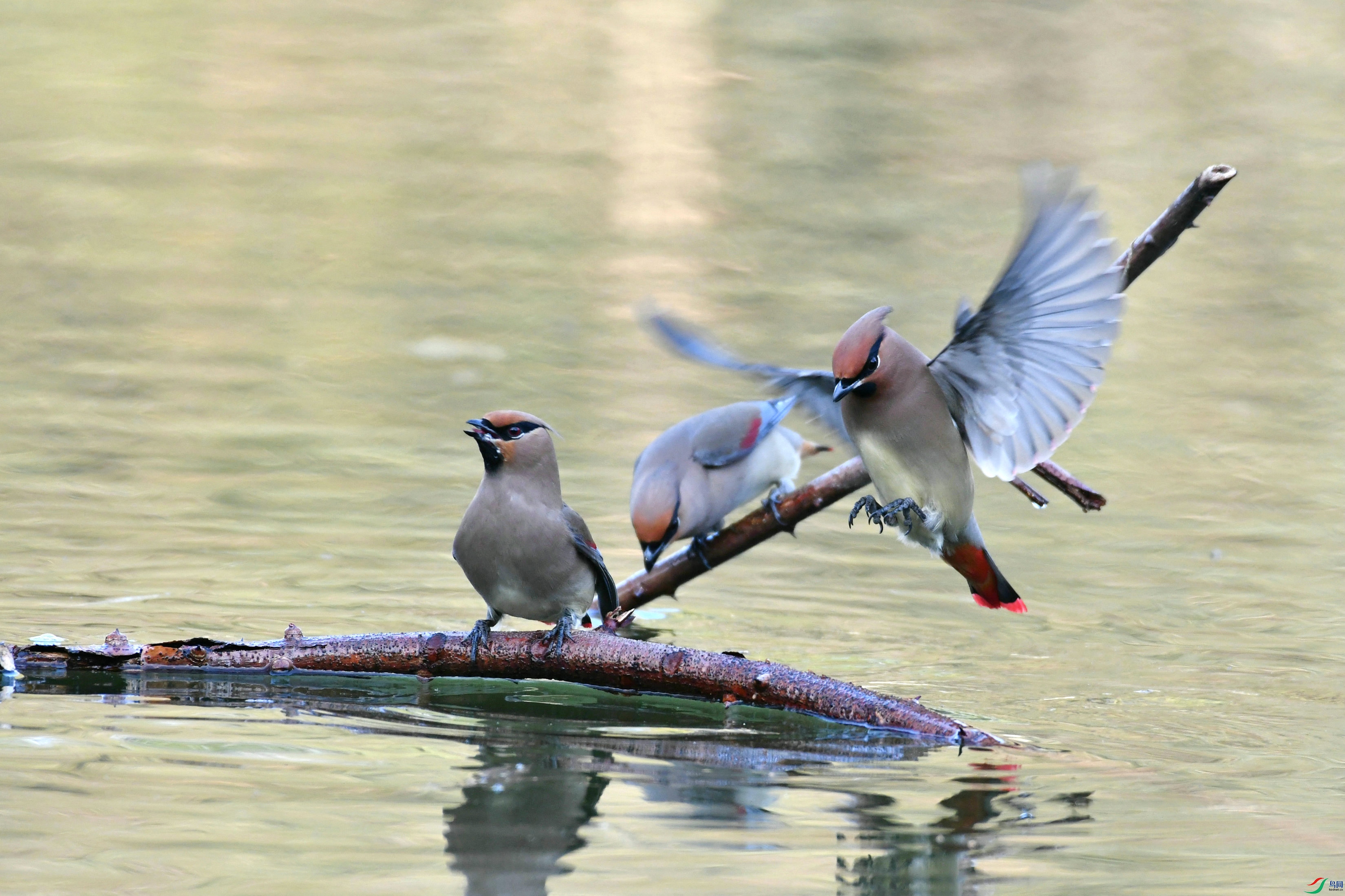 DSC_5374.JPG