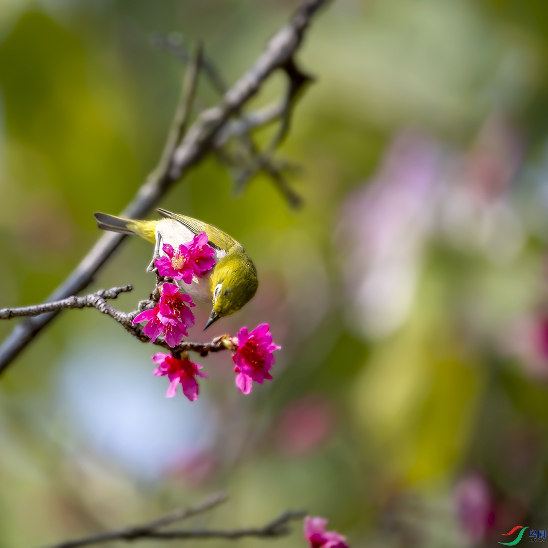 DSC_3193 ���� 2.jpg