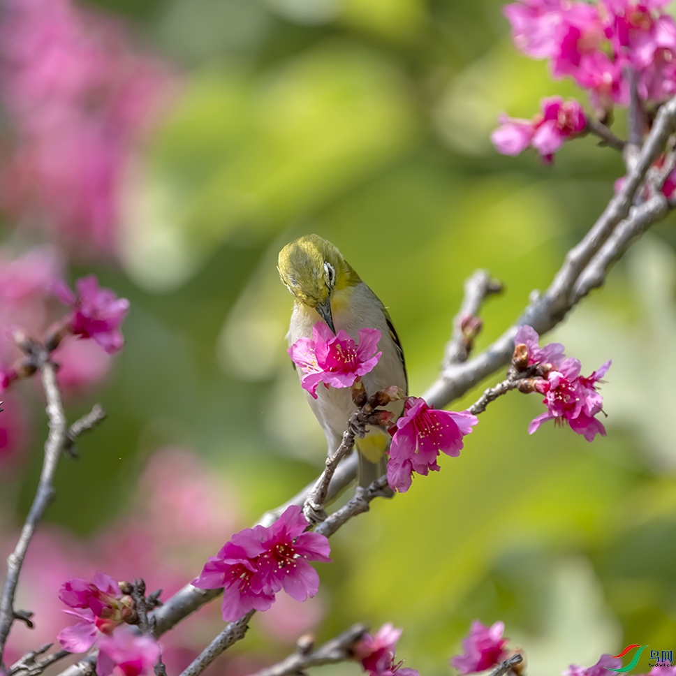 DSC_3166 ���� 2.jpg