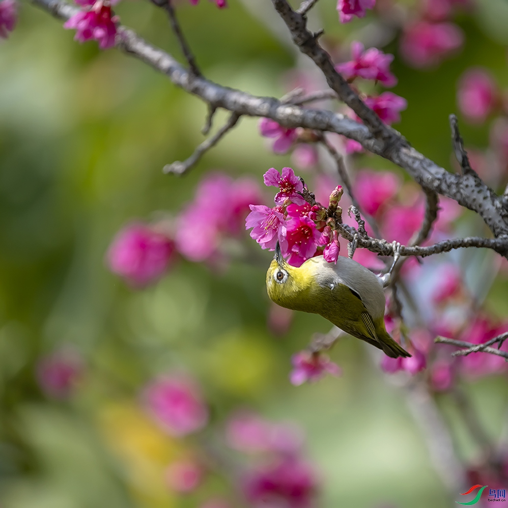 DSC_3029 ���� 2.jpg