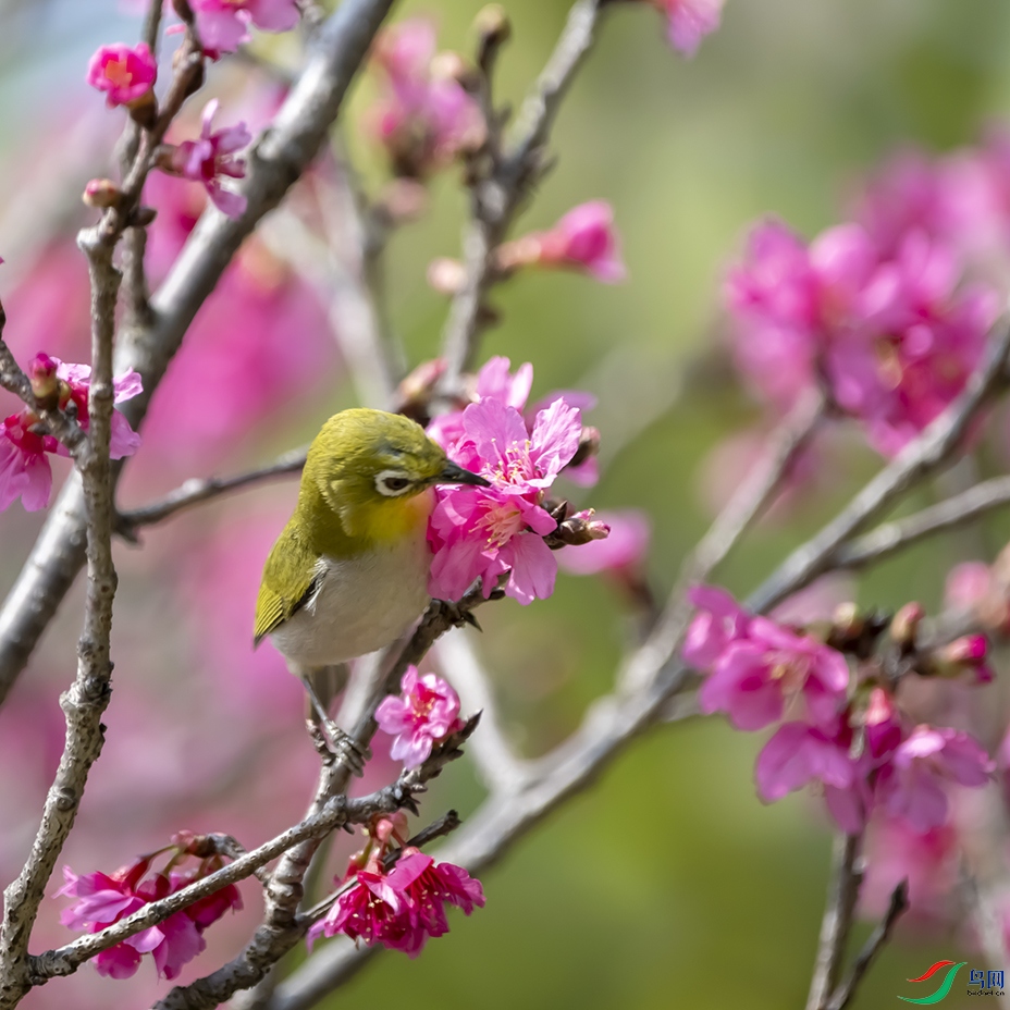 DSC_3080 ���� 2.jpg