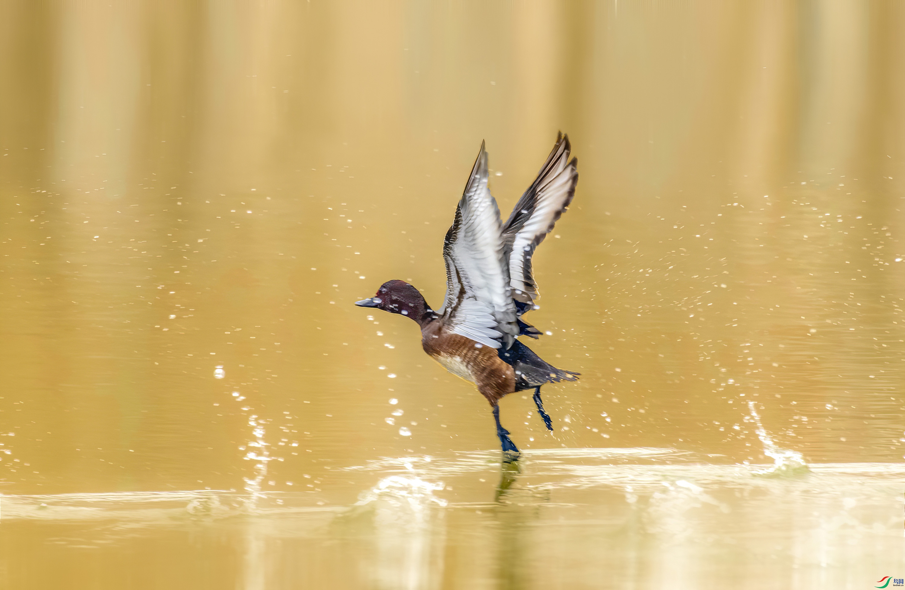 _8506389 1     ok.jpg