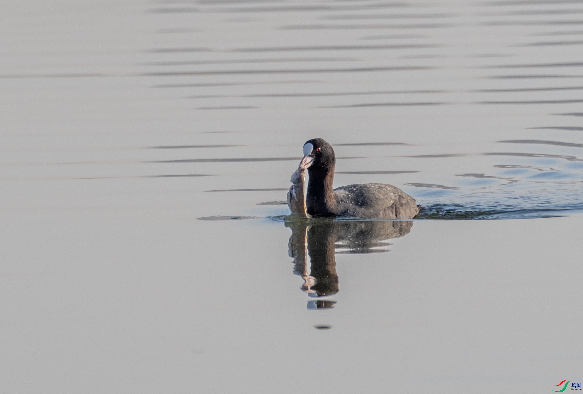 DSC_3185.jpg
