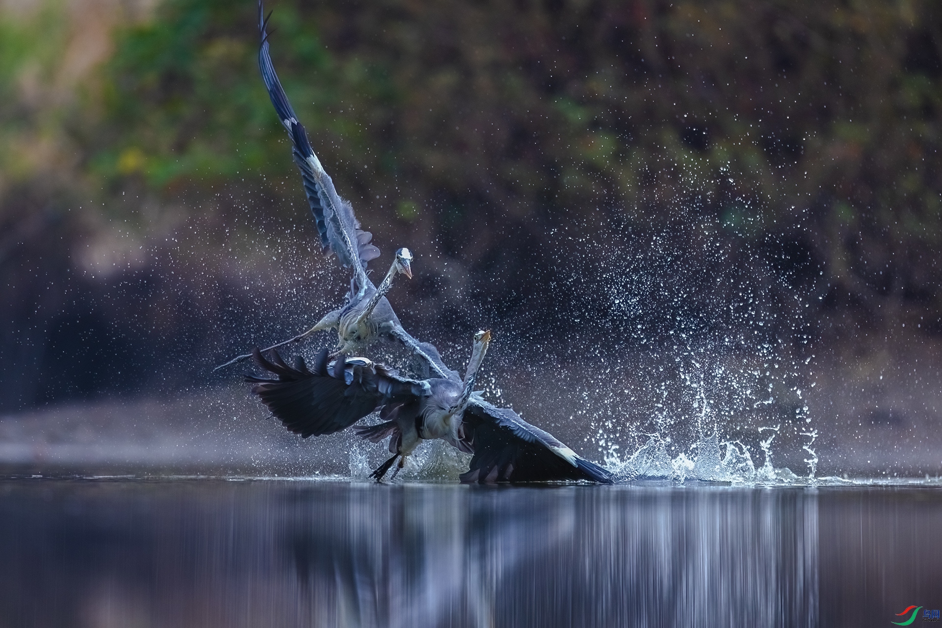 A75A4025-�༭-�༭ ����.jpg