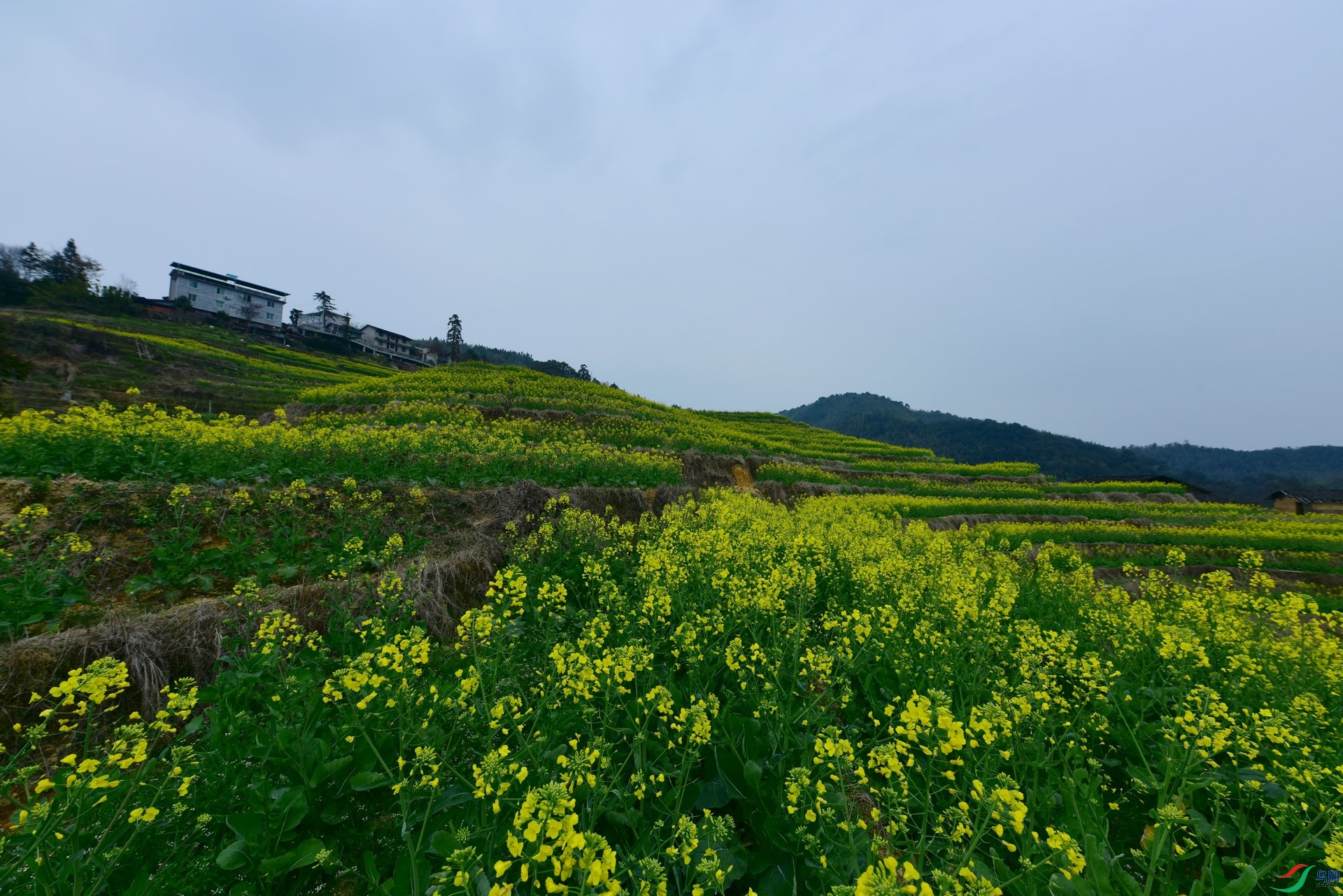 D8I_5911.jpg