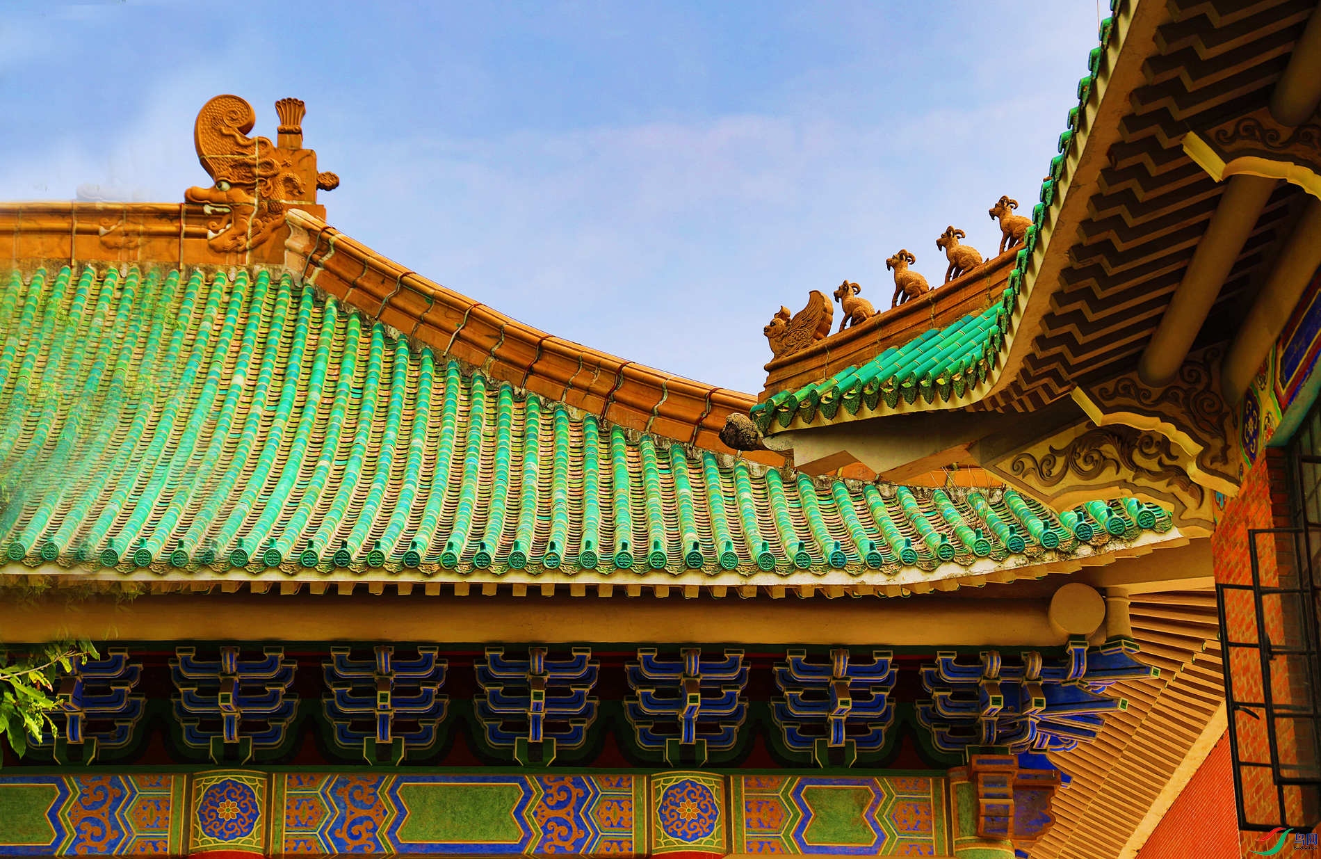 ����������������������ѧ��ѧ¥