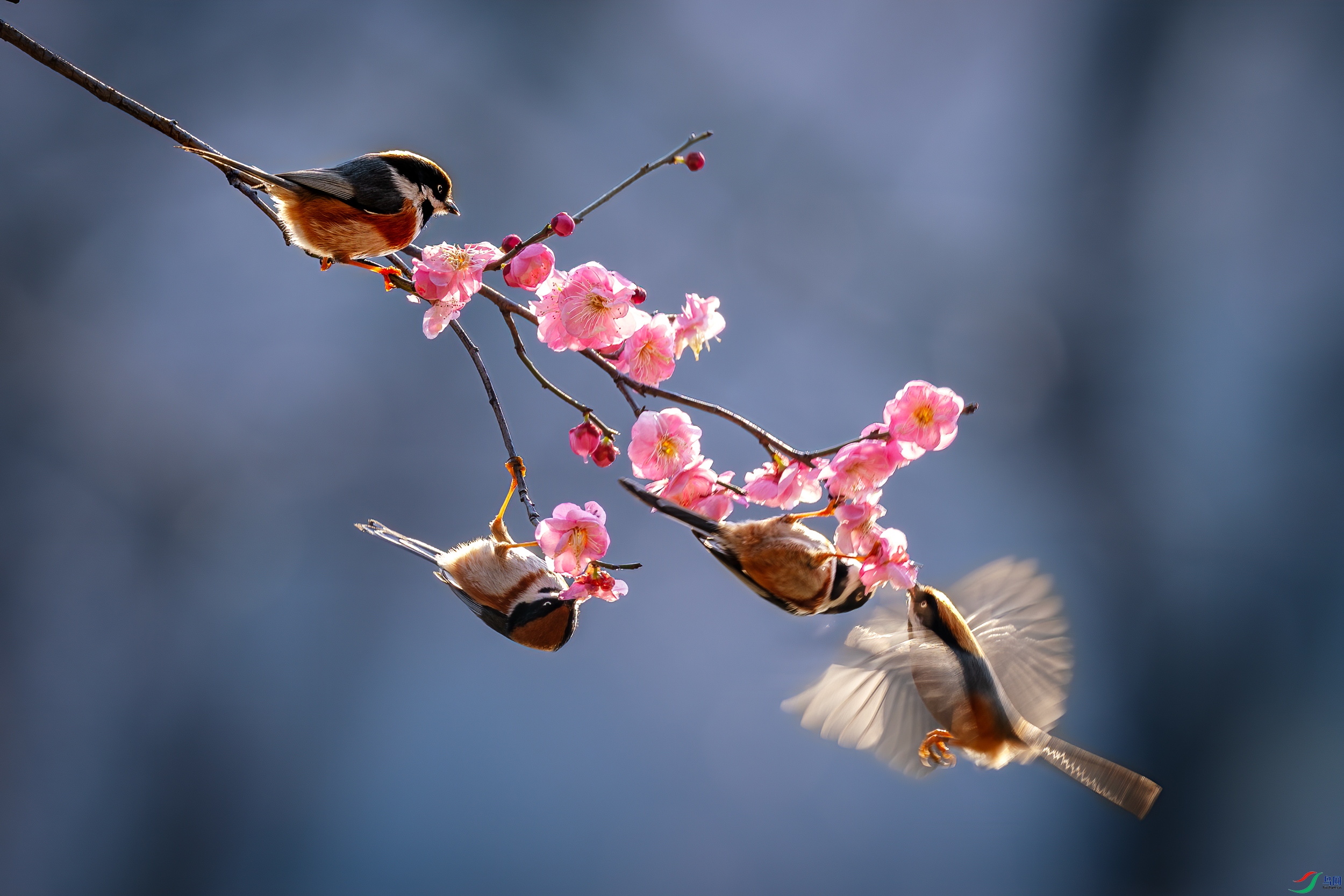 ��ͷ�ִ�0C4A4076.jpg
