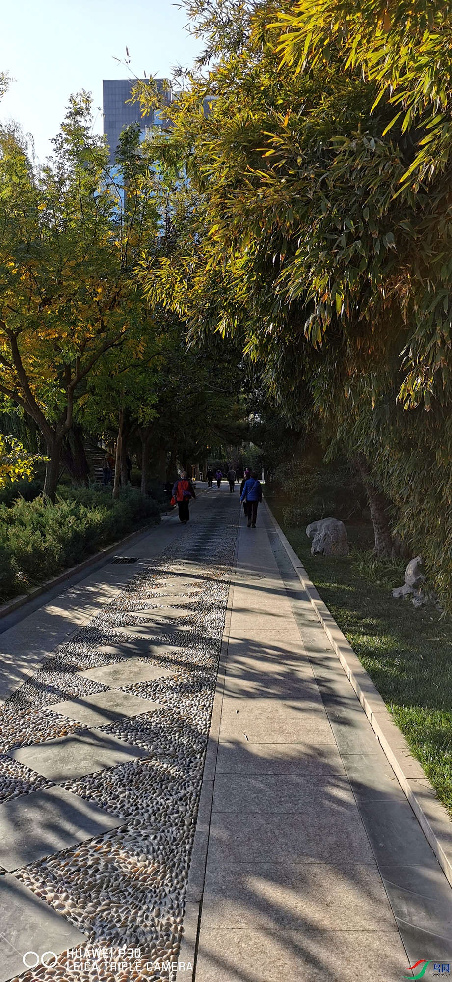 ΢��ͼƬ_20201109161453_����.jpg