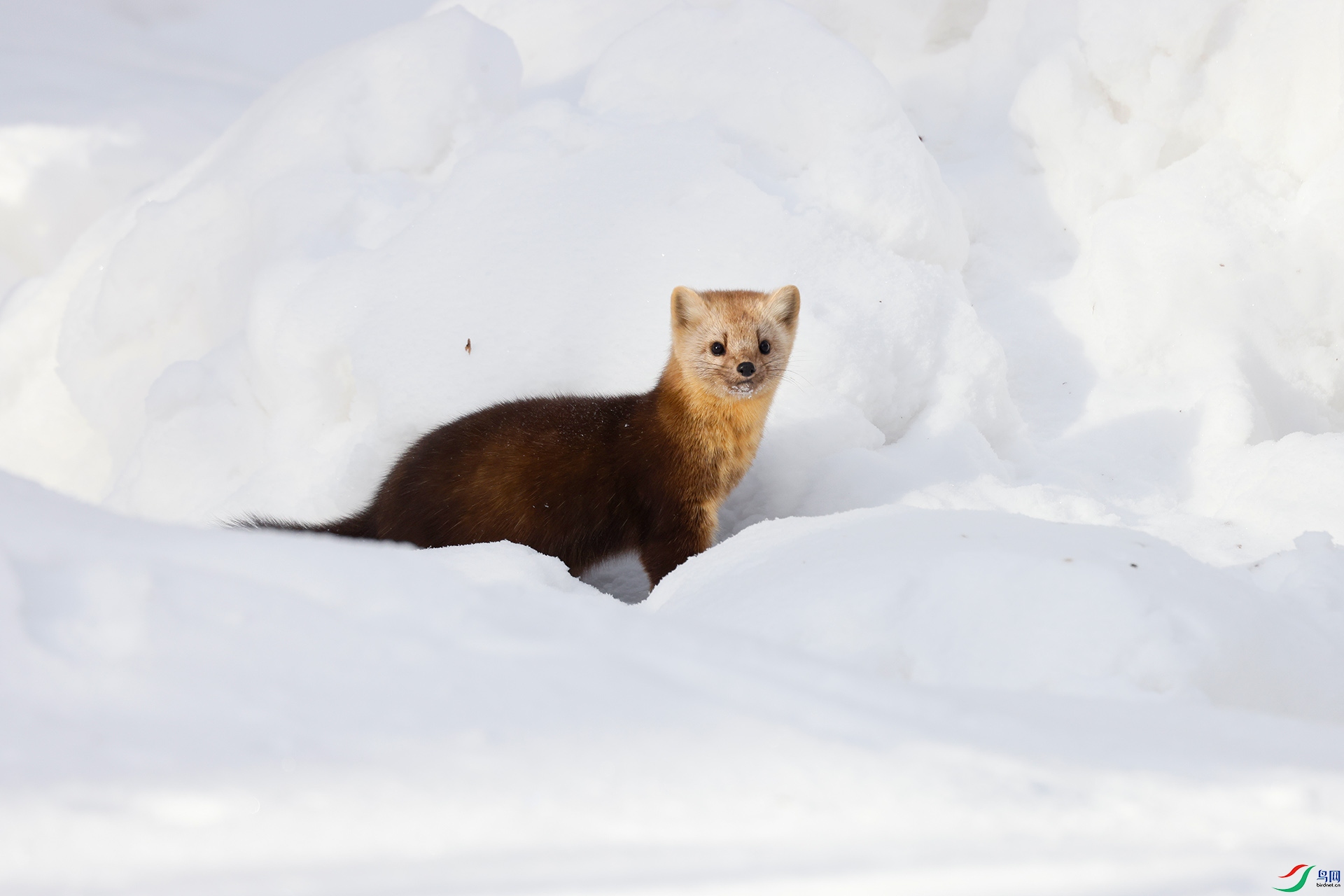 _MG_6207-1-1.jpg