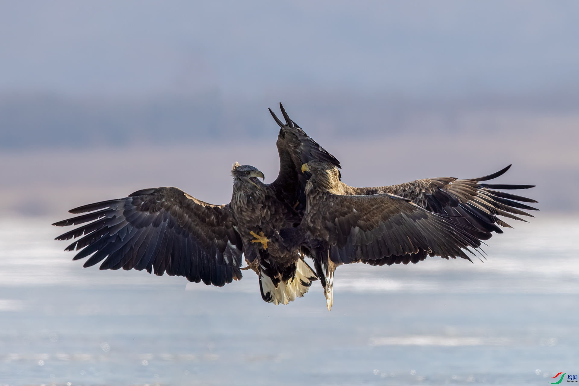 1J0A7762-1.jpg