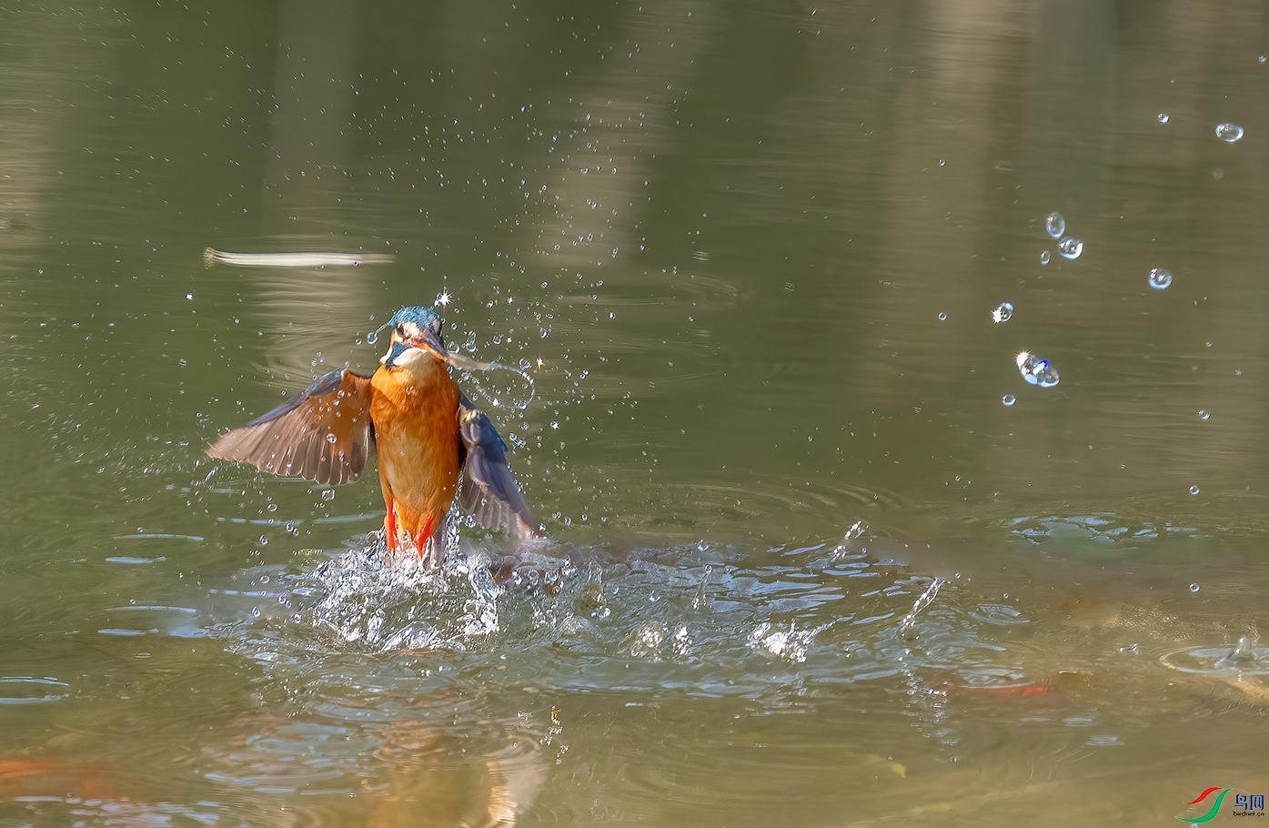 DSC_1074-2.jpg