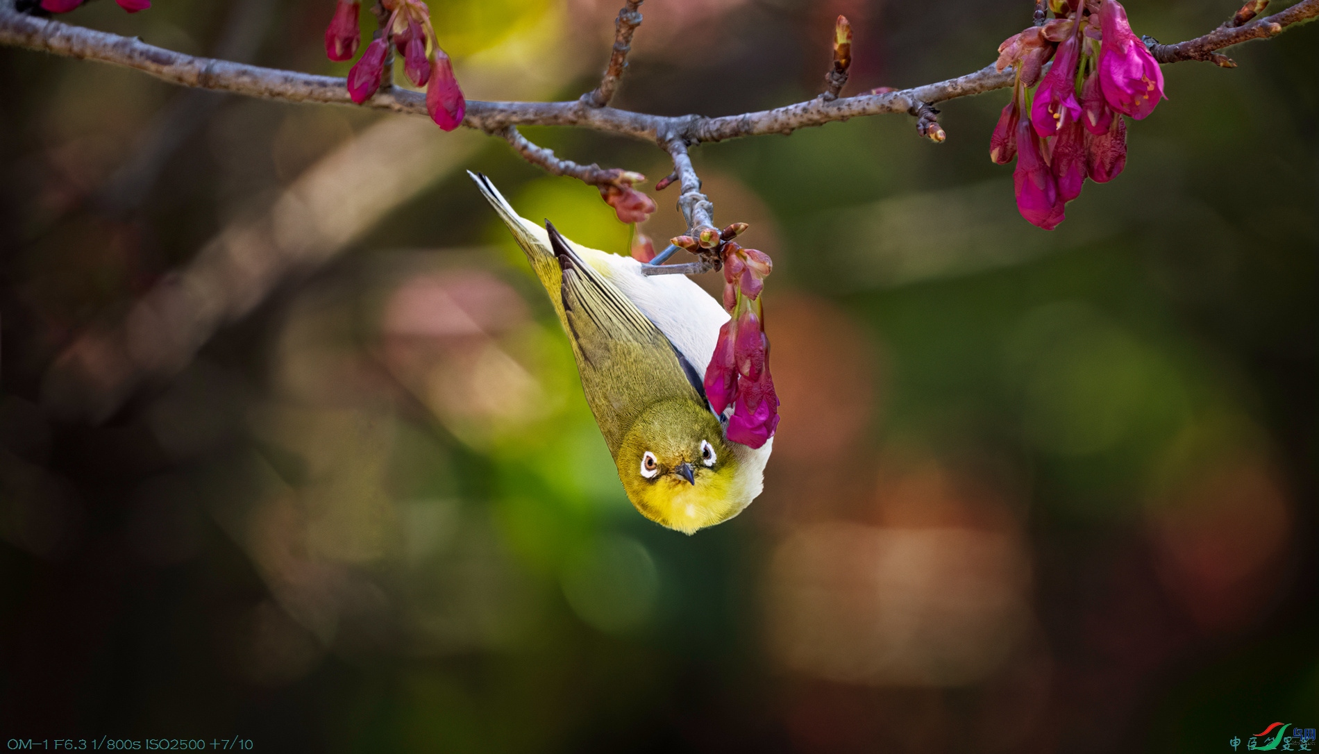 _3034709���� ����.jpg