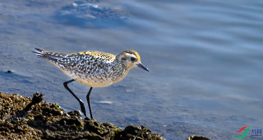 _DSC2946 ����.jpg