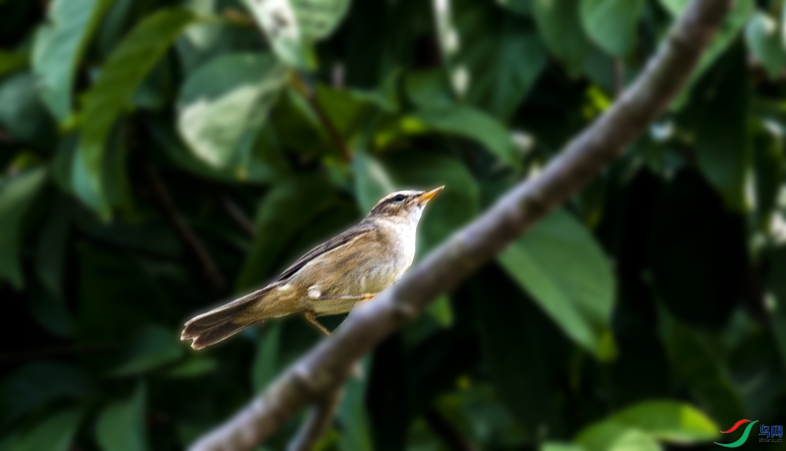_DSC4864.jpg