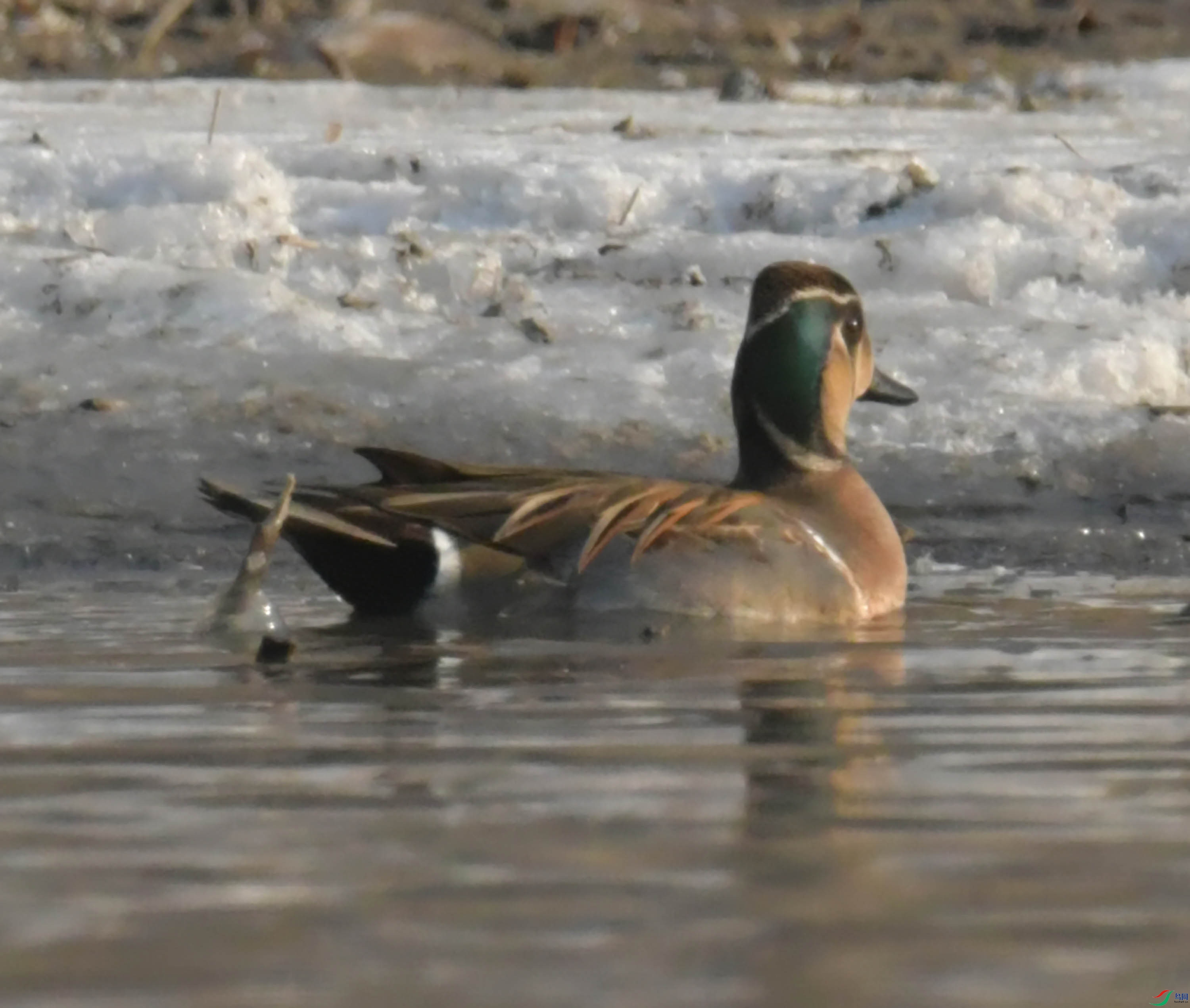 DSC_5755.JPG