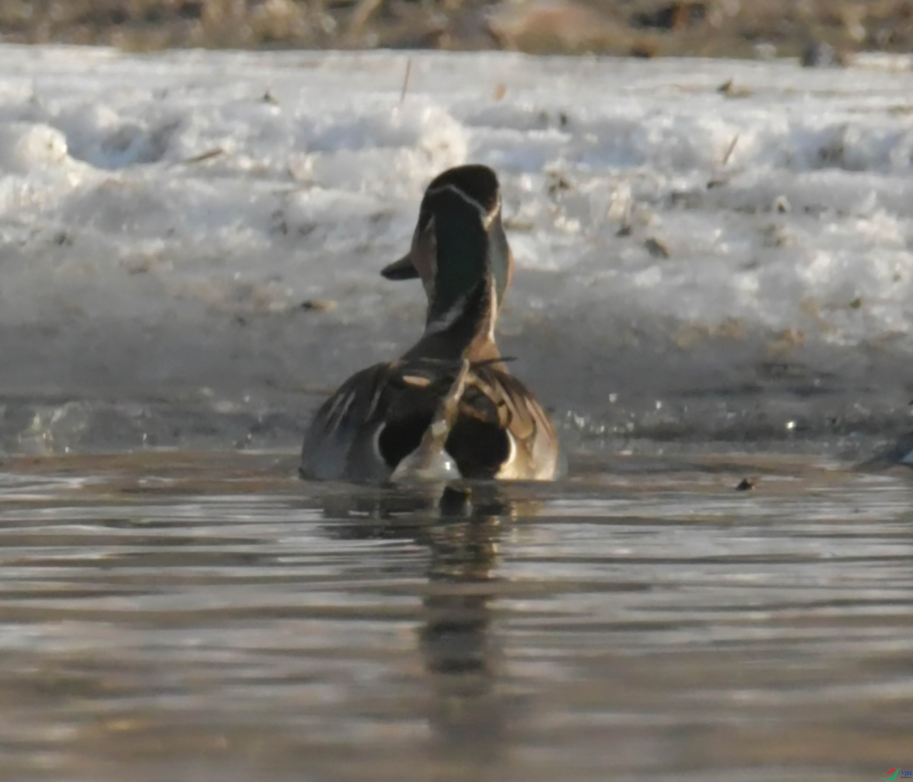 DSC_5753.JPG