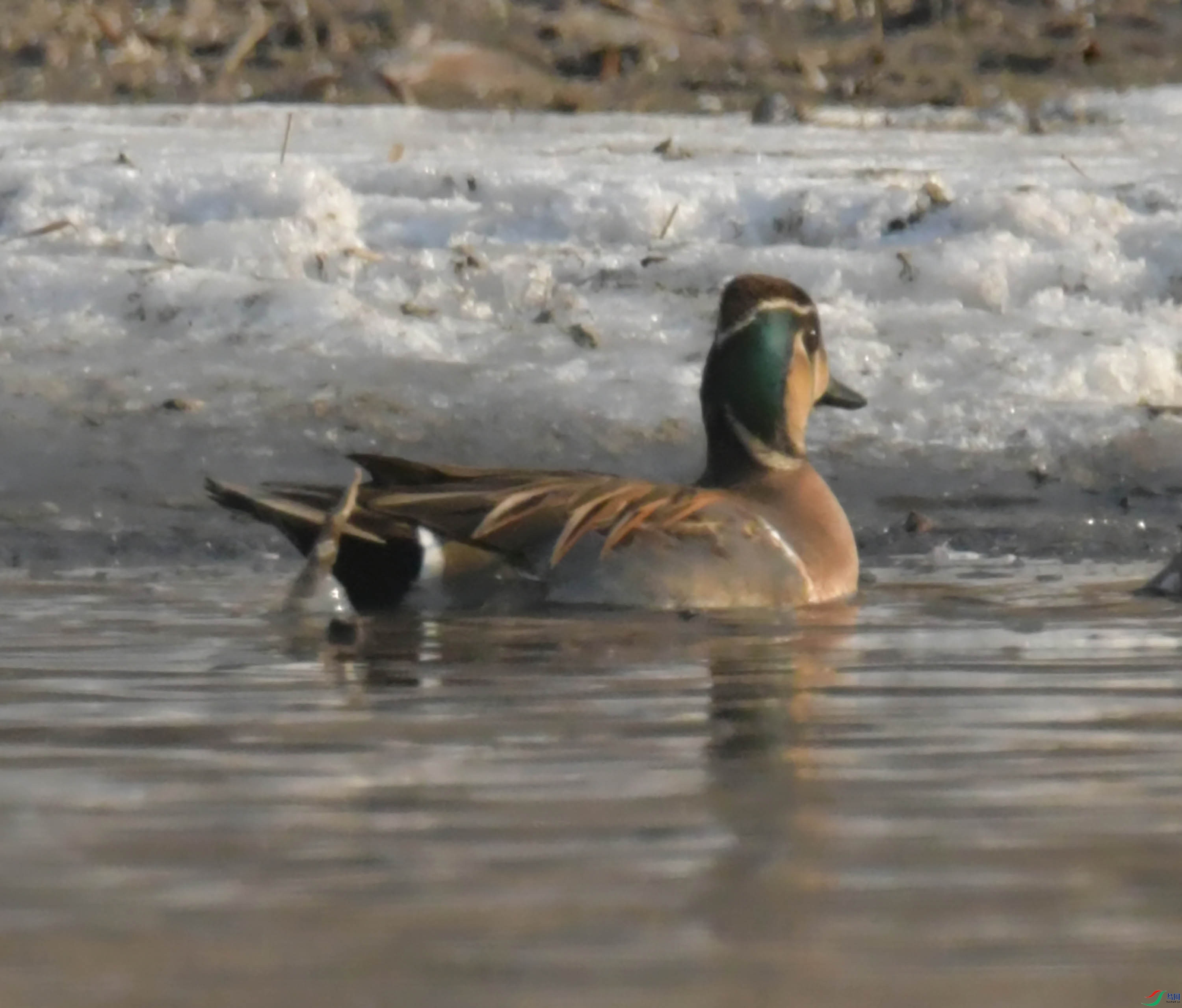 DSC_5754.JPG