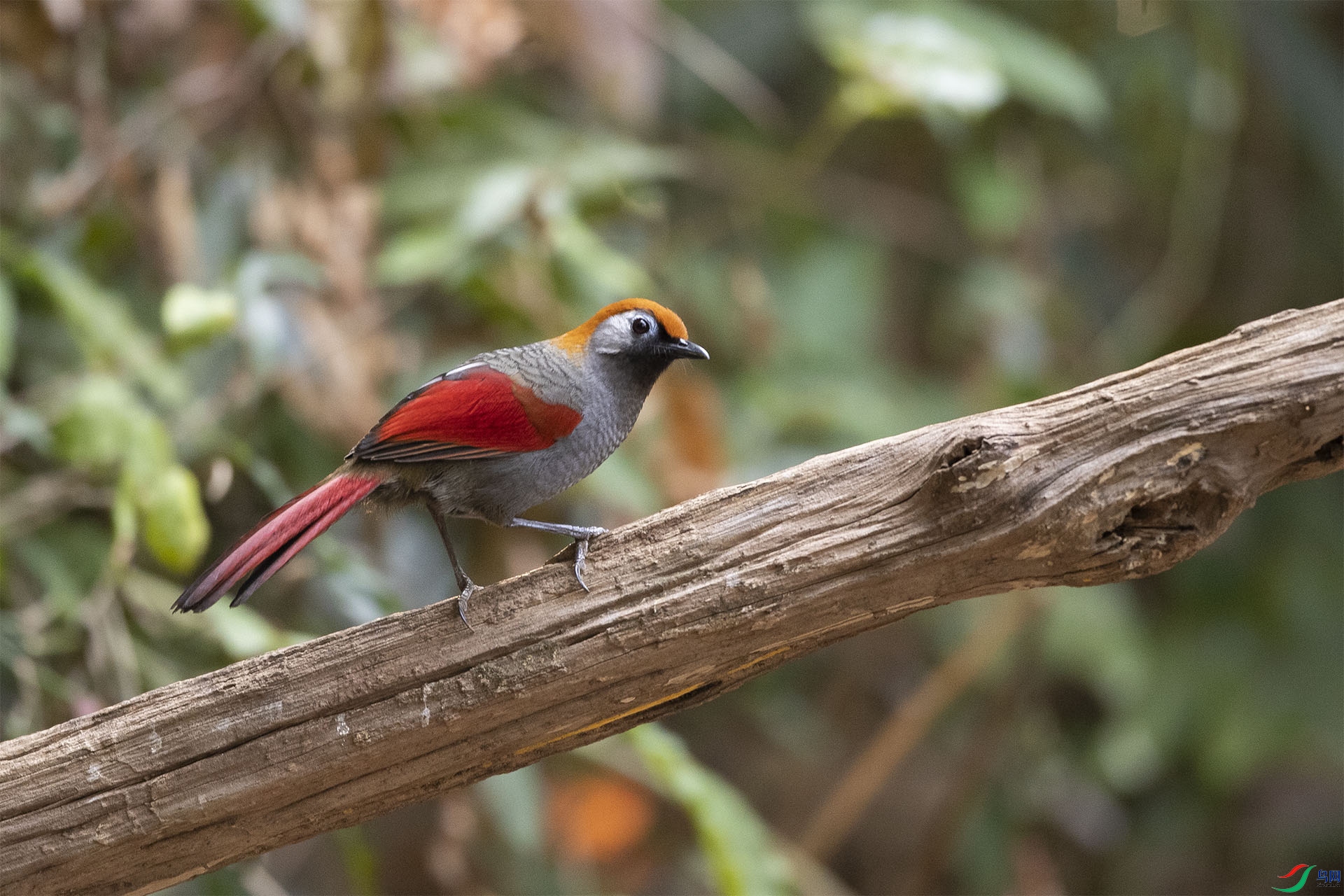 CD0I4341 ����.jpg