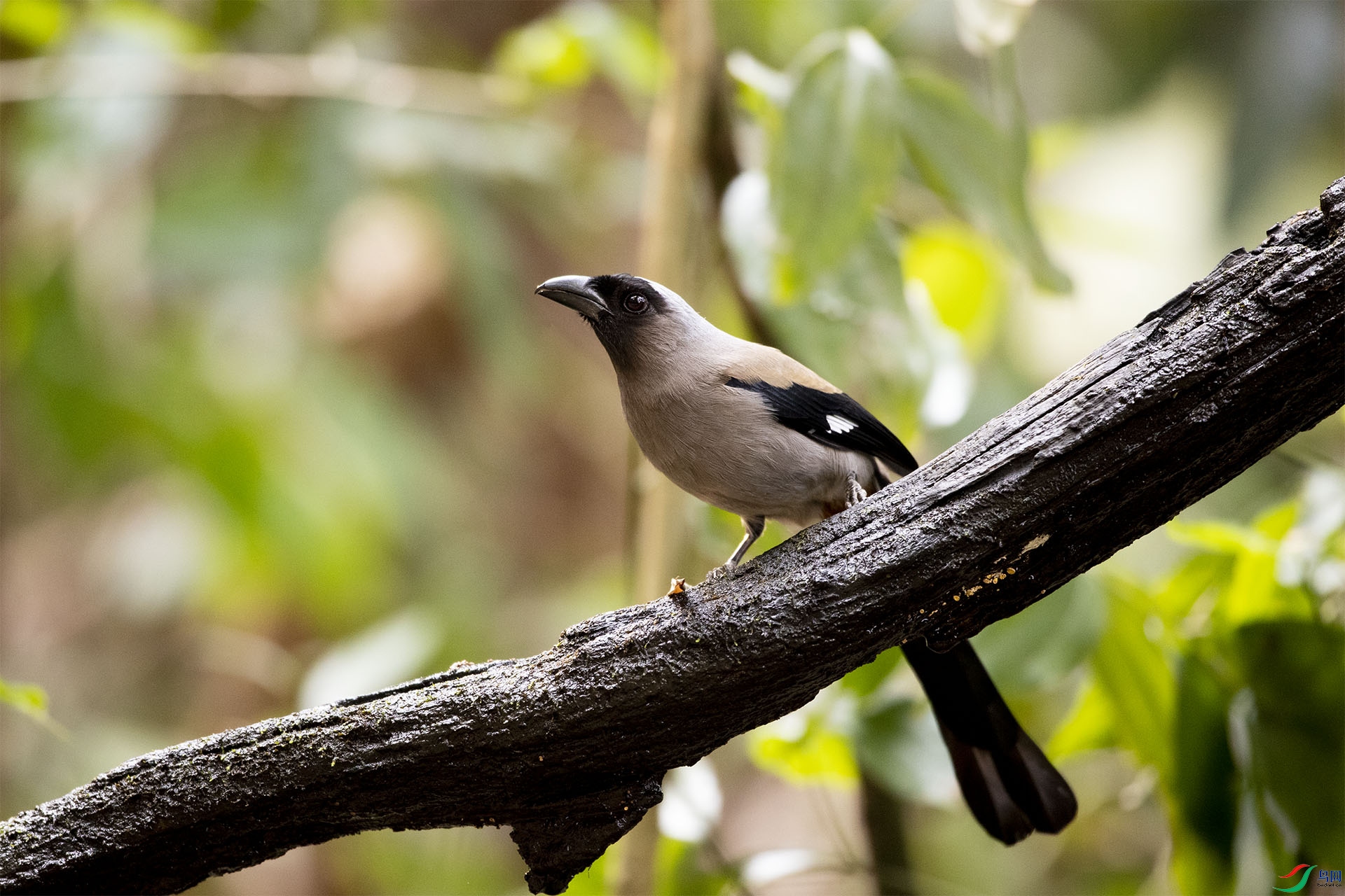 CD0I4292 ����.jpg