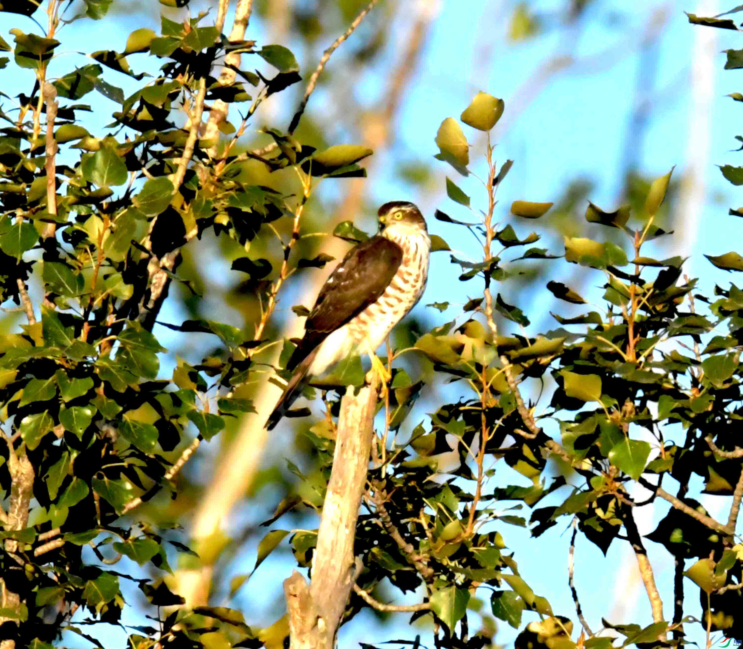 DSC_2850.JPG