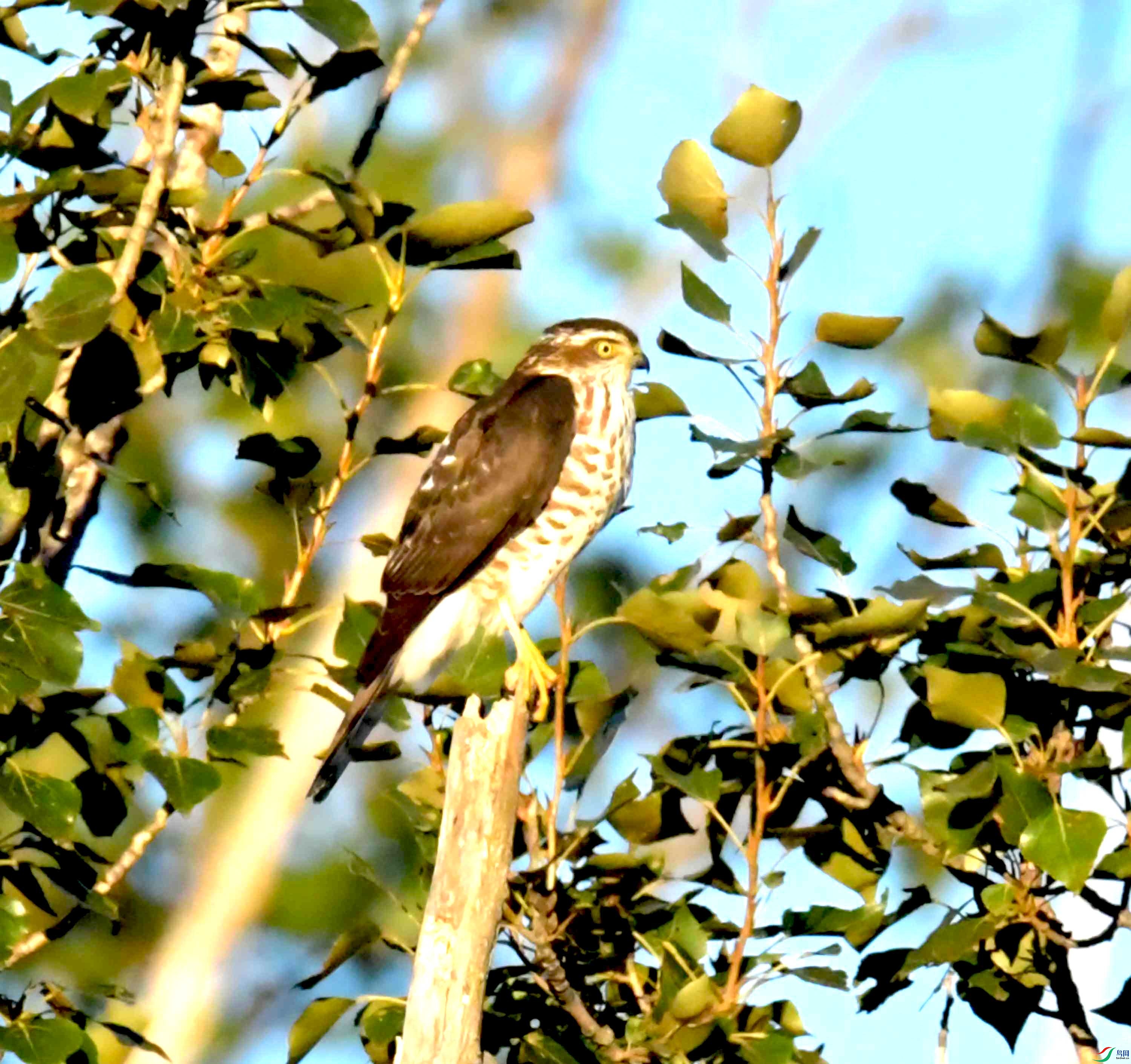 DSC_2861.JPG