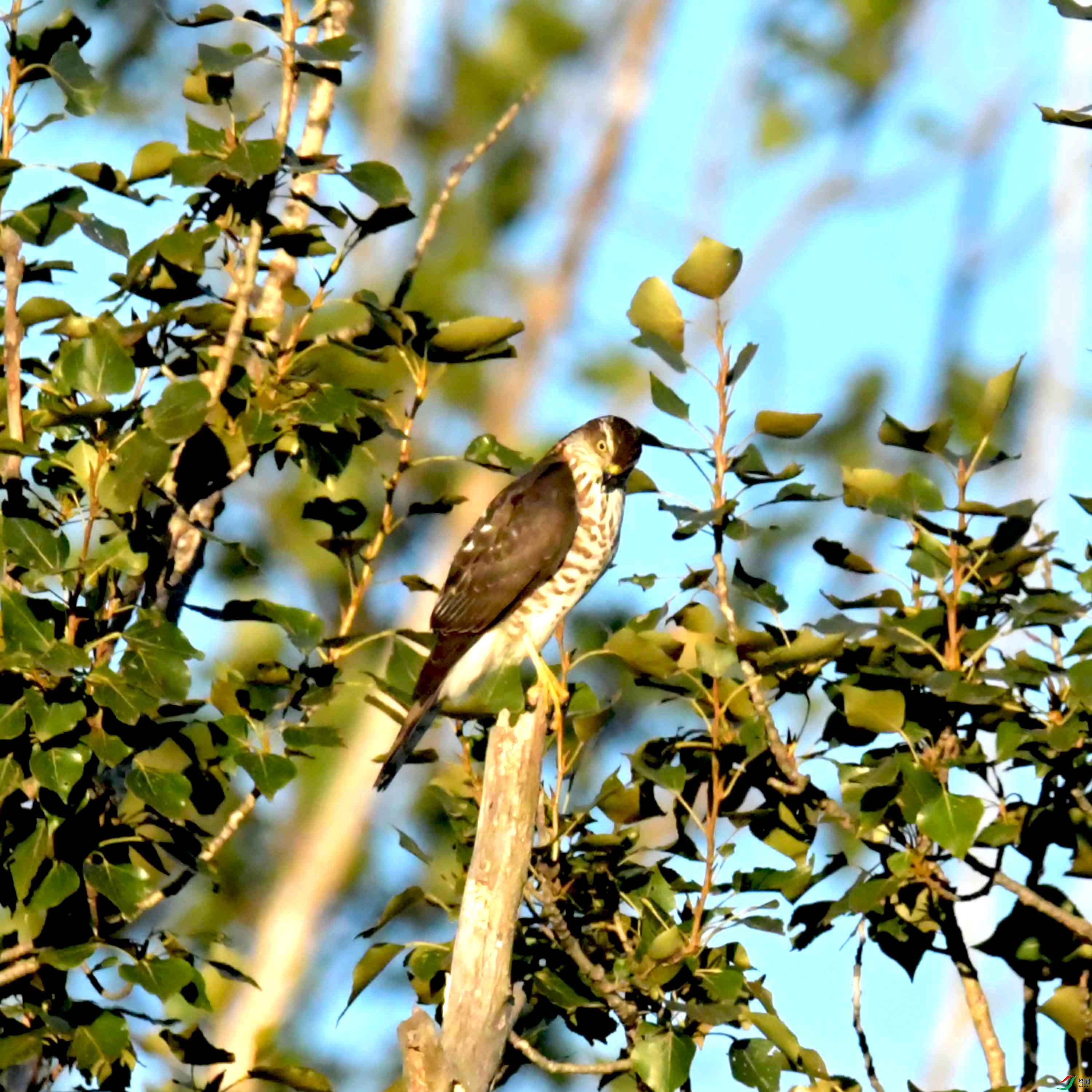 DSC_2872.JPG