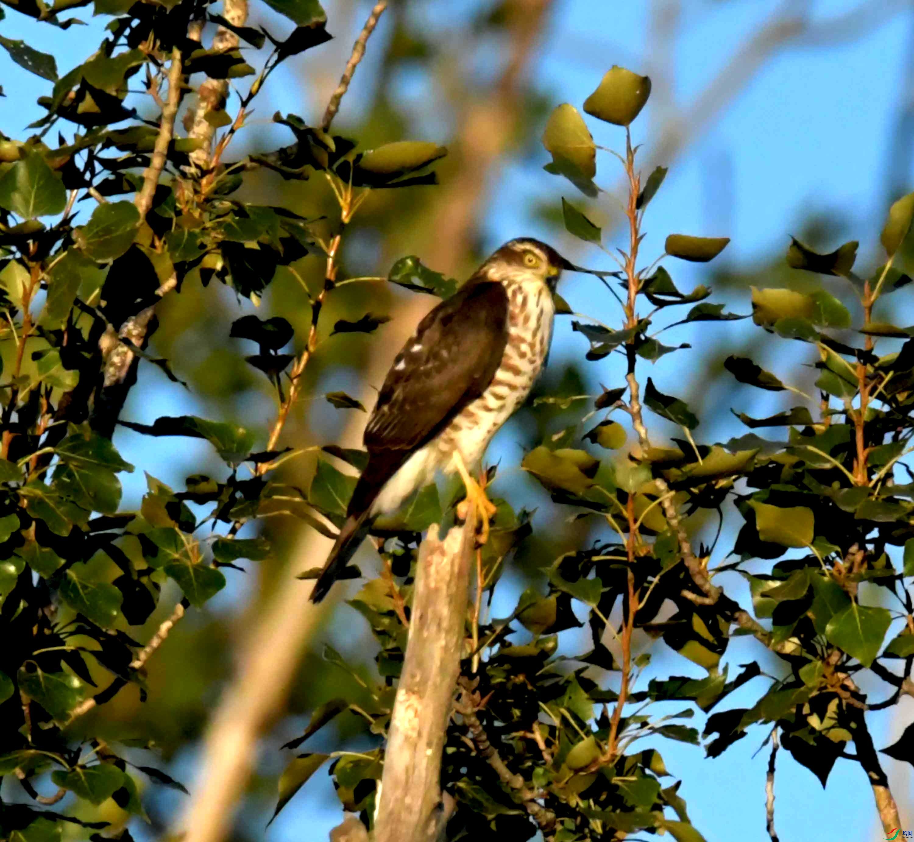 DSC_2876.JPG