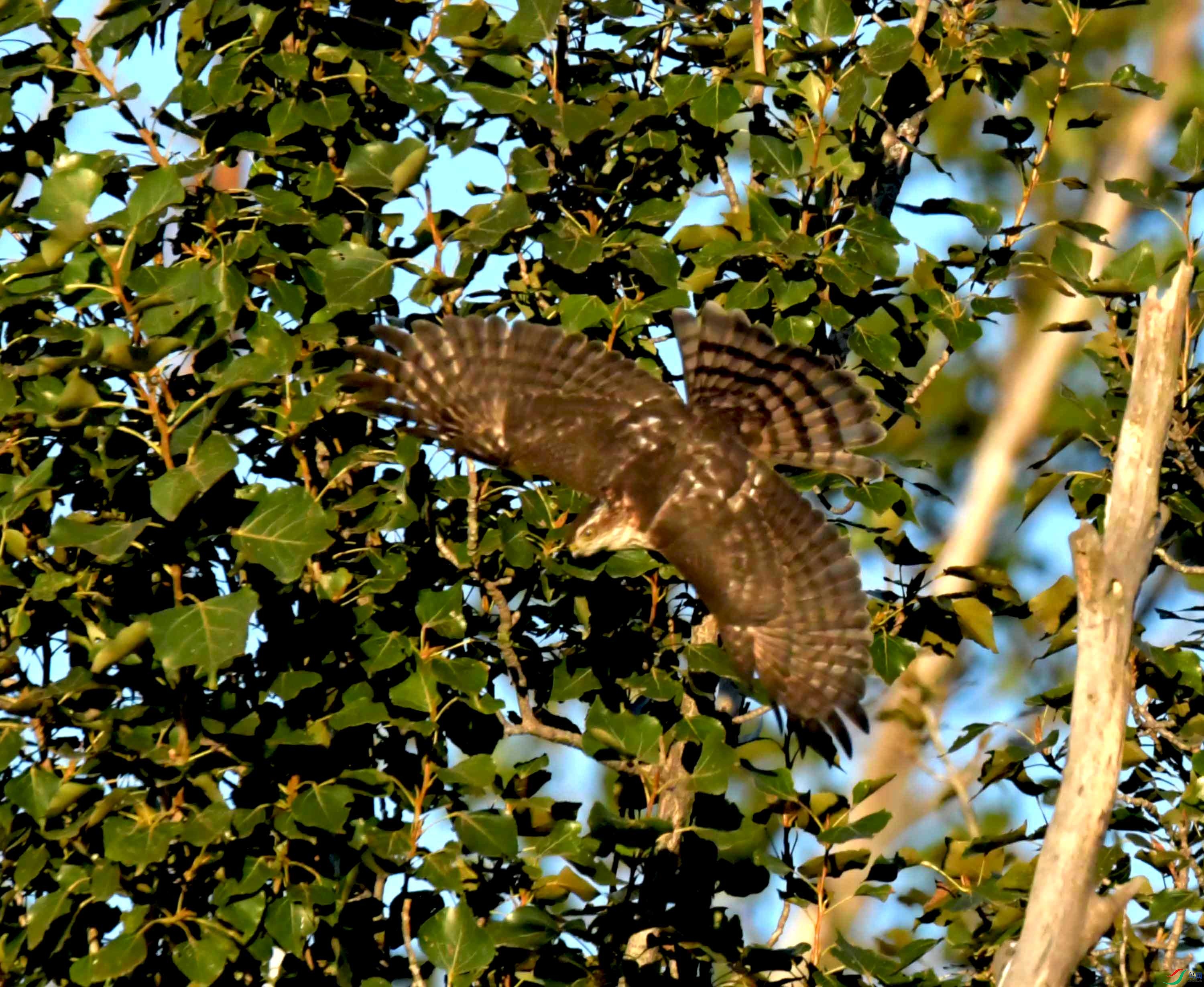 DSC_2880.JPG