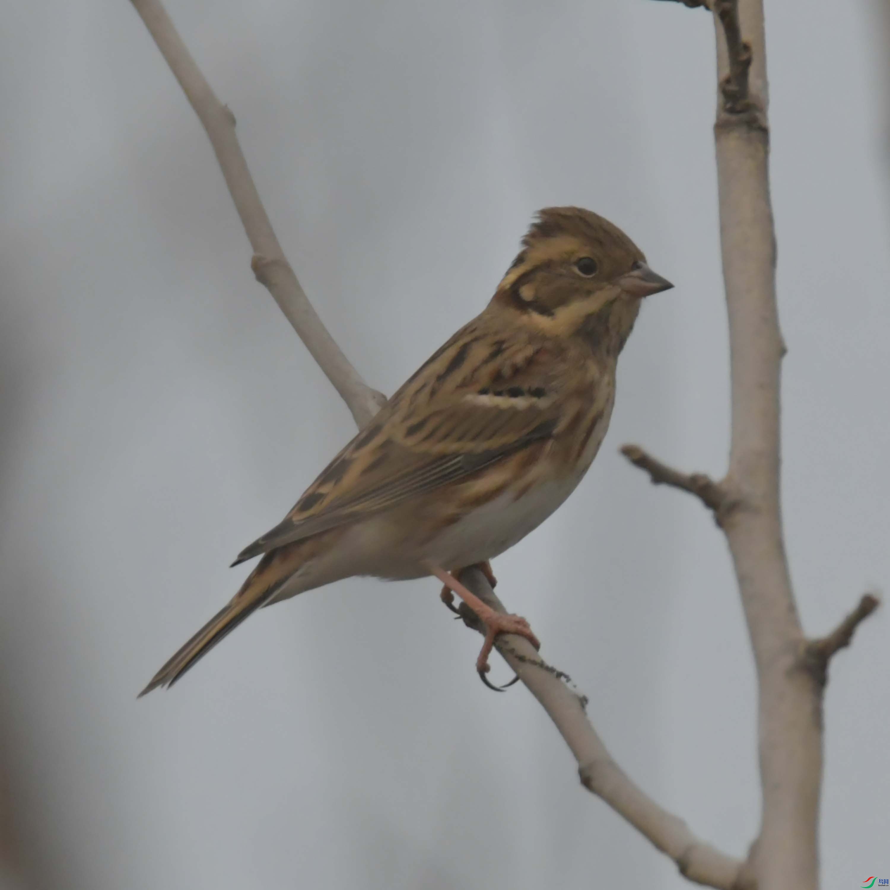 DSC_3528.JPG
