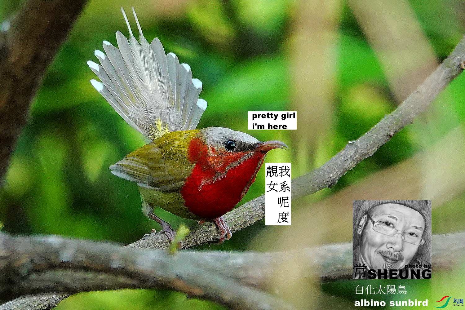 sd DSC05894 3nmete.jpg