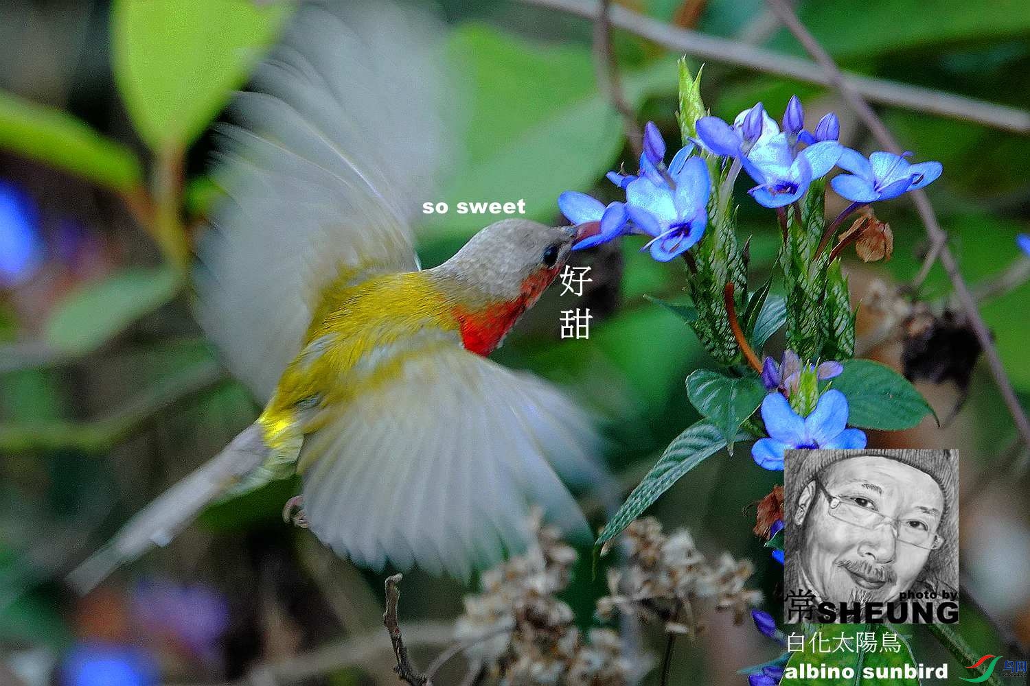 sd DSC06315 3nmete.jpg