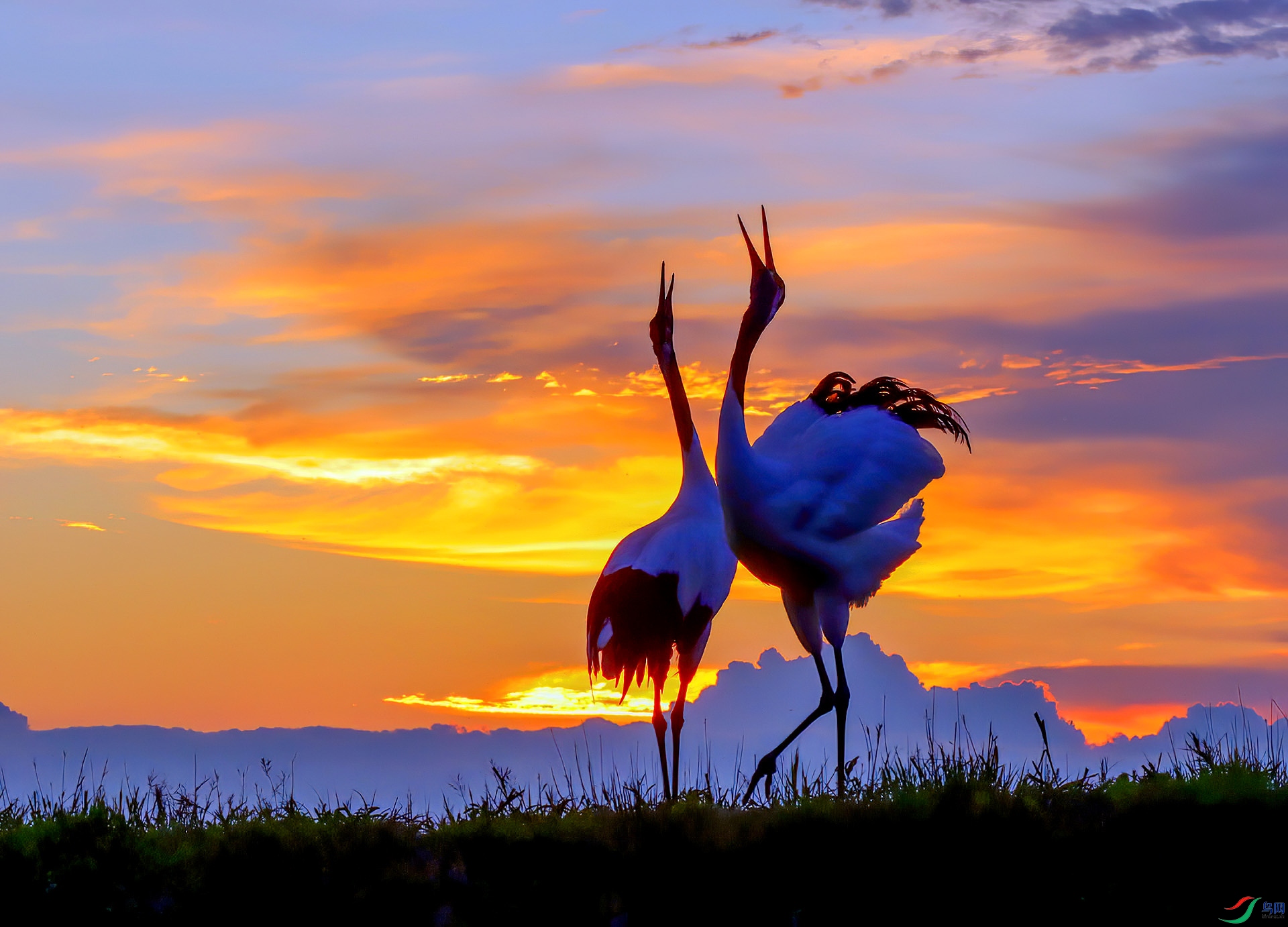 �����ް�����س�  5851.jpg