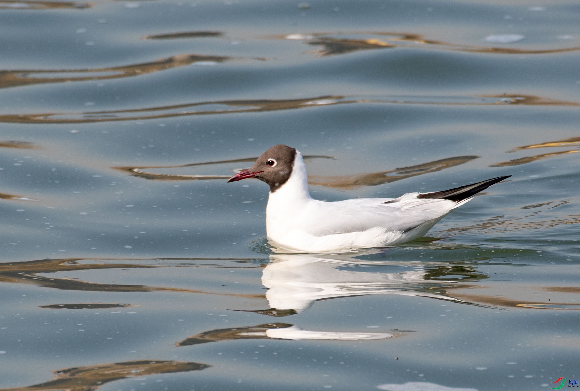 DSC_5175.jpg