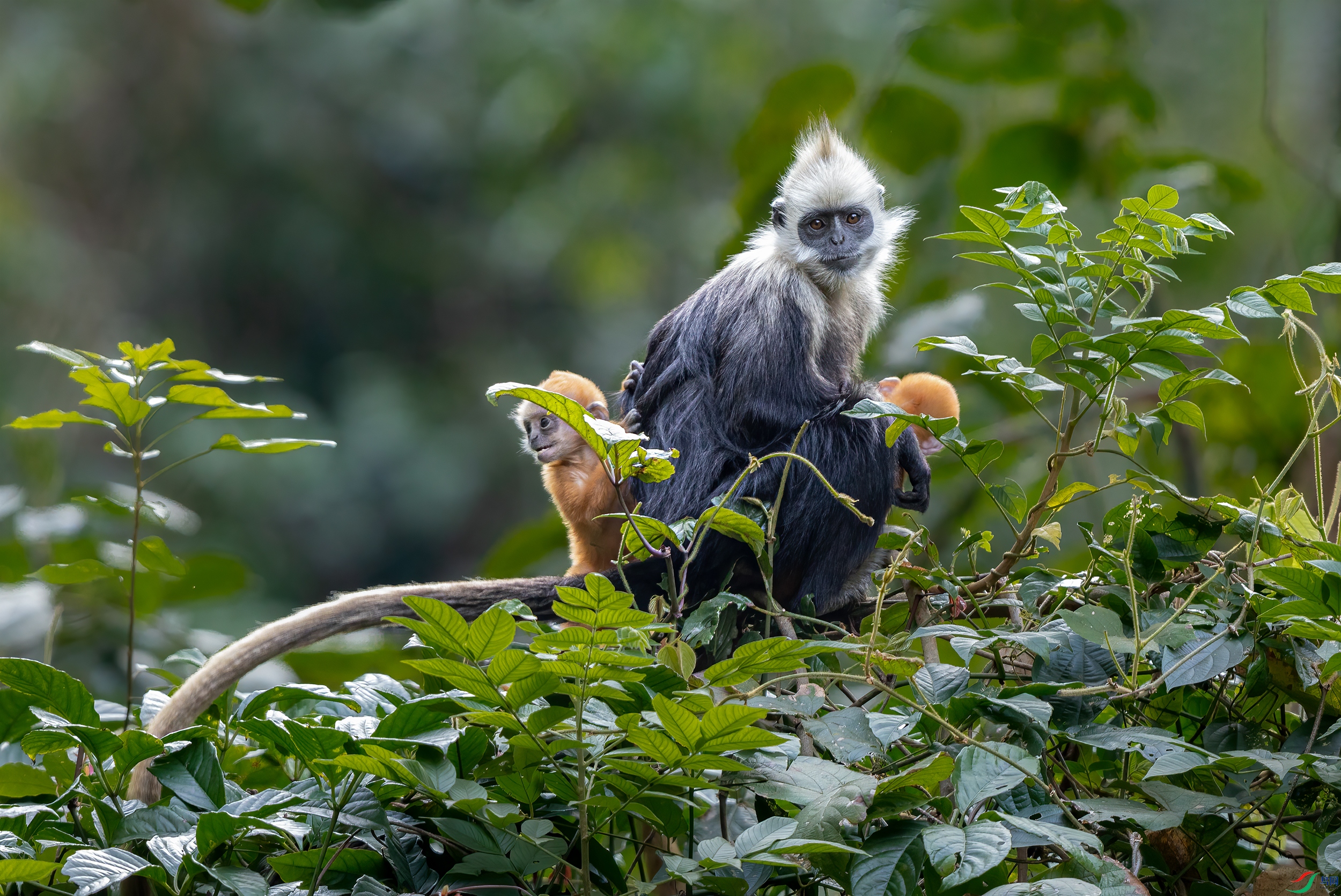 3S5A7942 ����.jpg