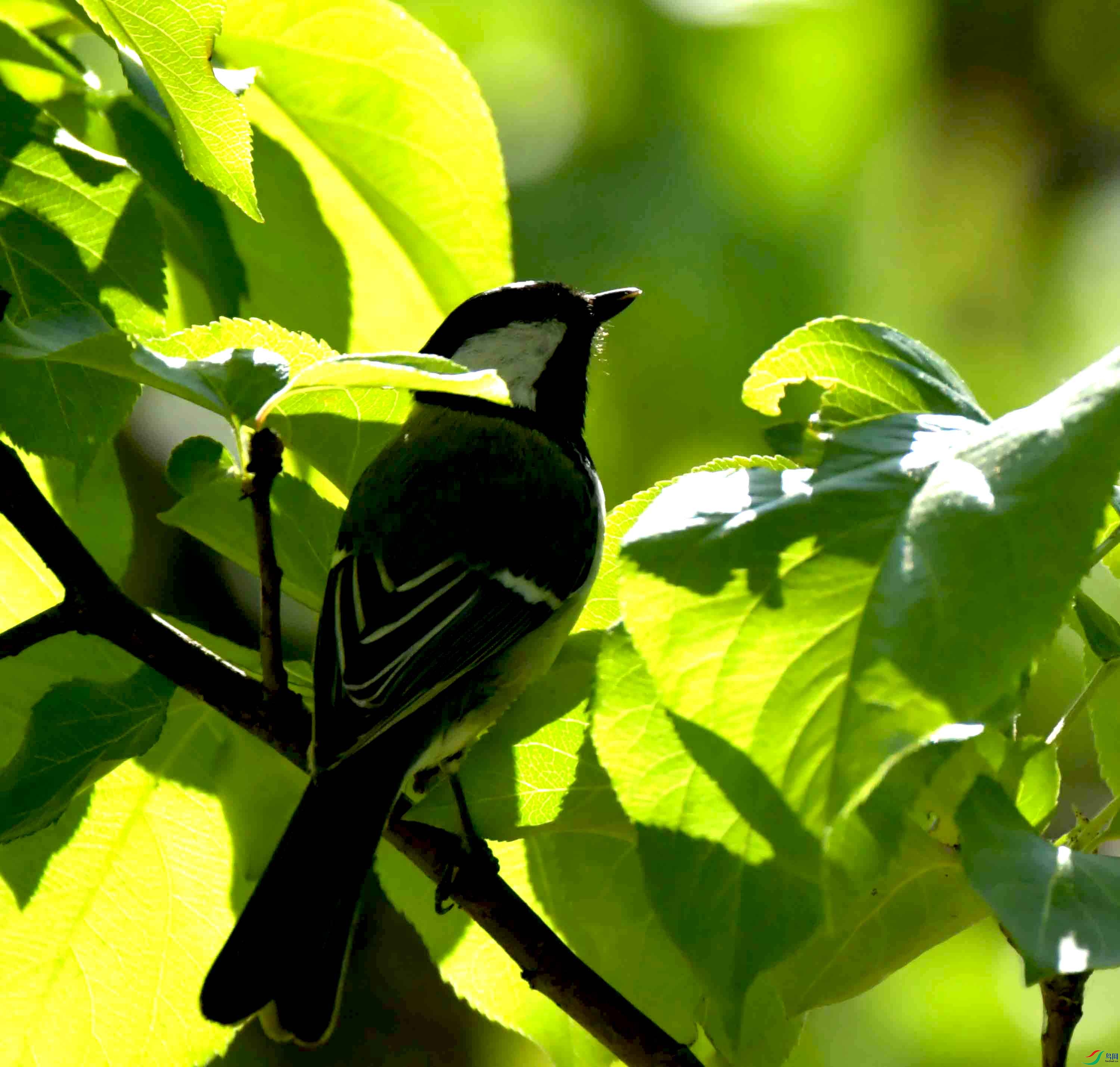 DSC_1365.JPG