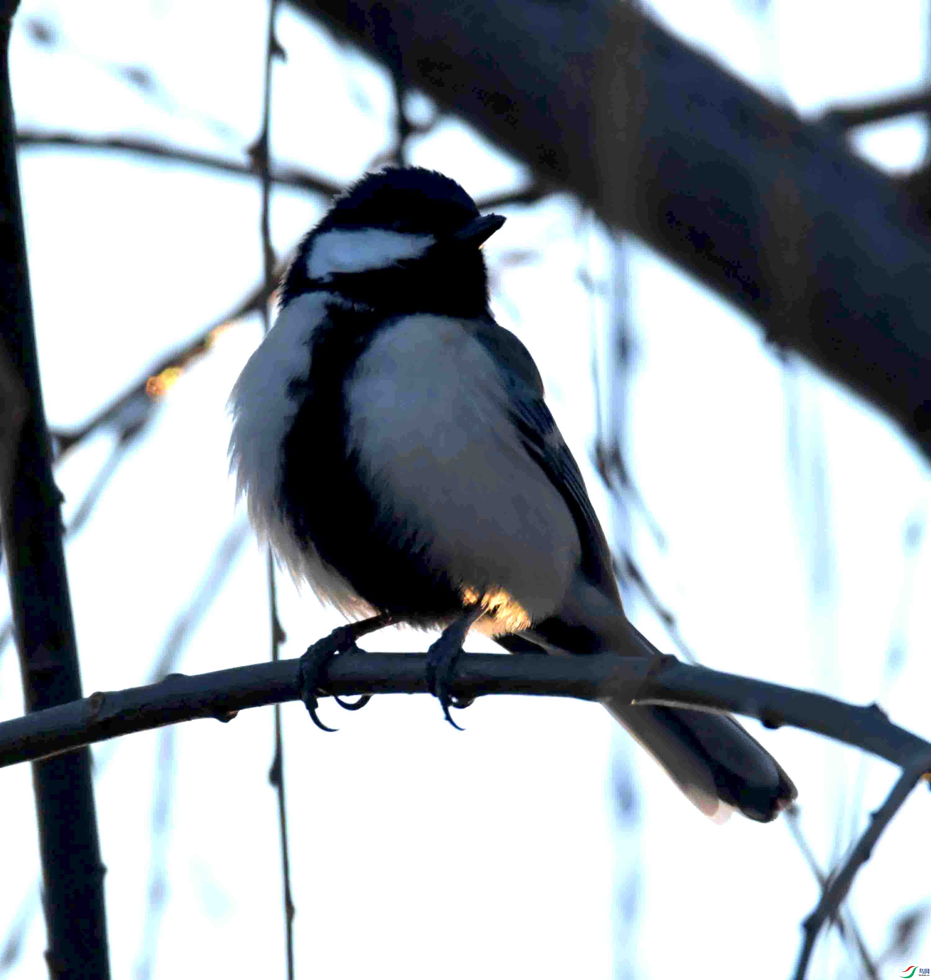 DSC_1216.JPG