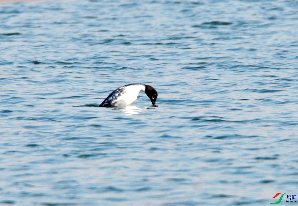 DSC_5040.JPG