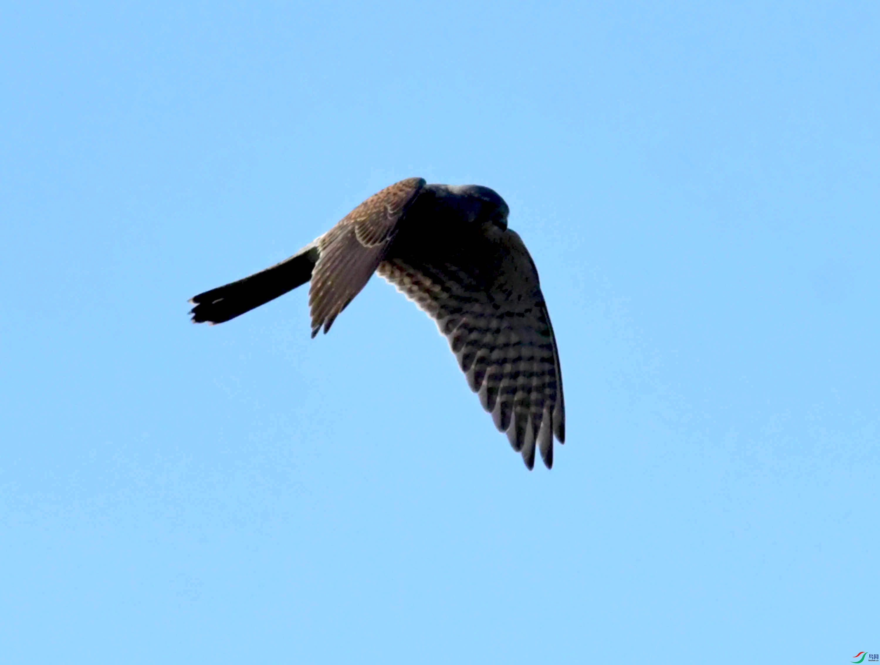 DSC_1194.JPG
