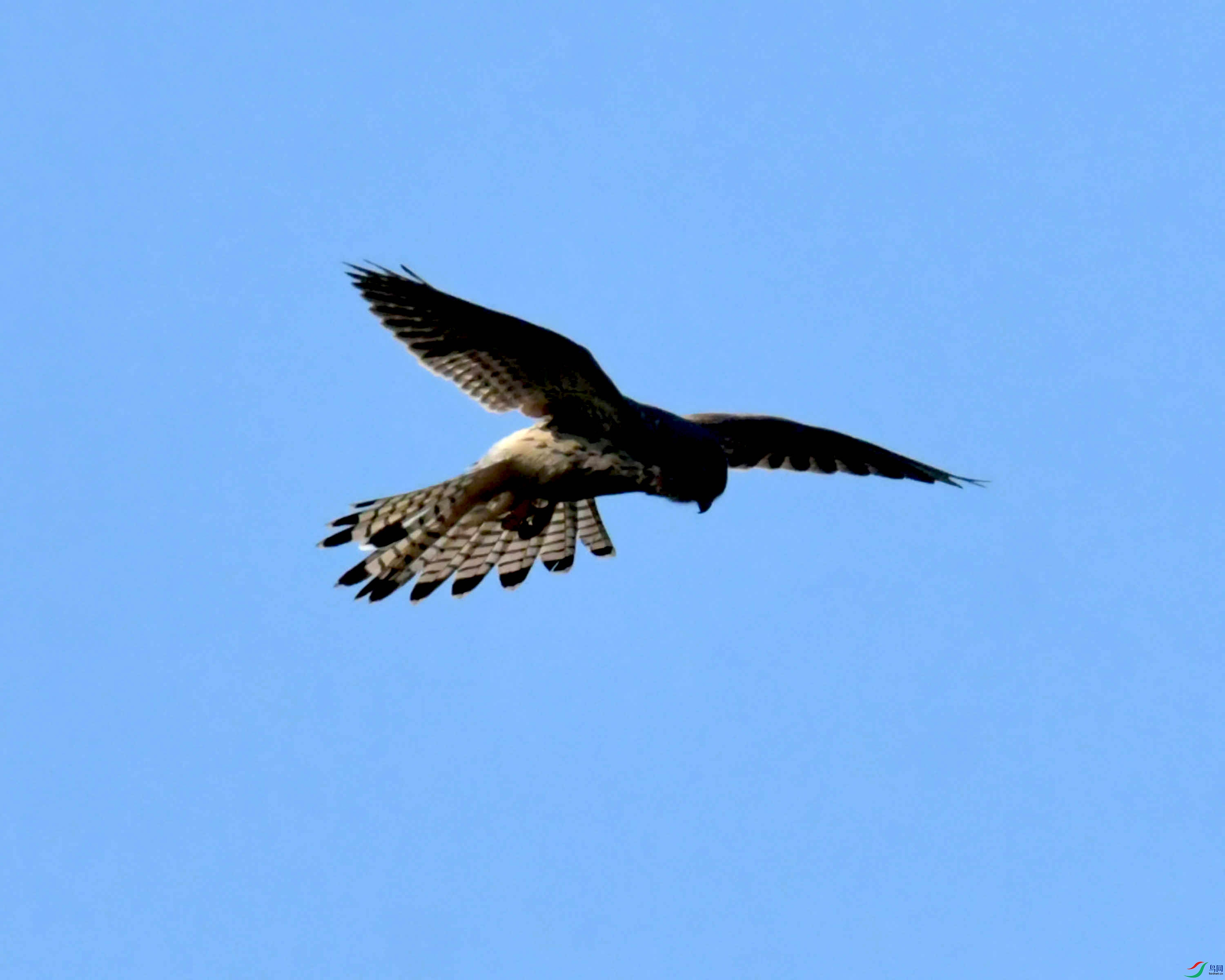 DSC_1202.JPG