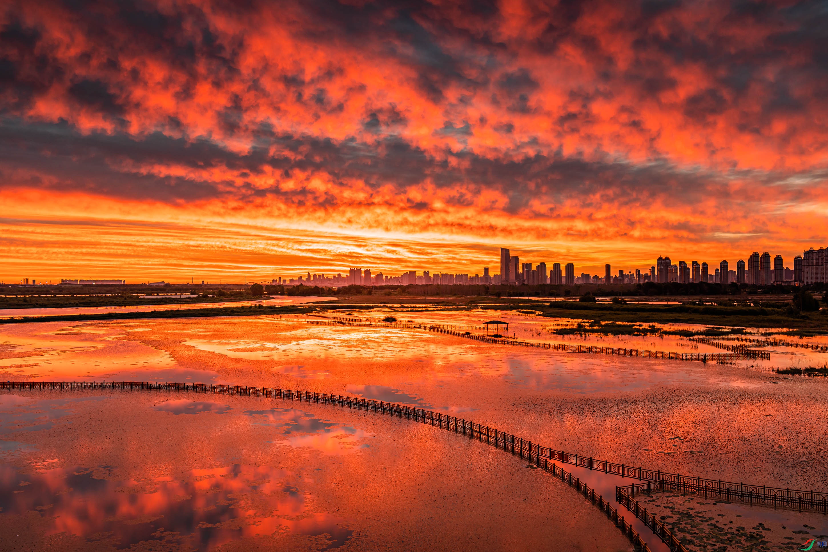 ʪ�س�ϼ�����