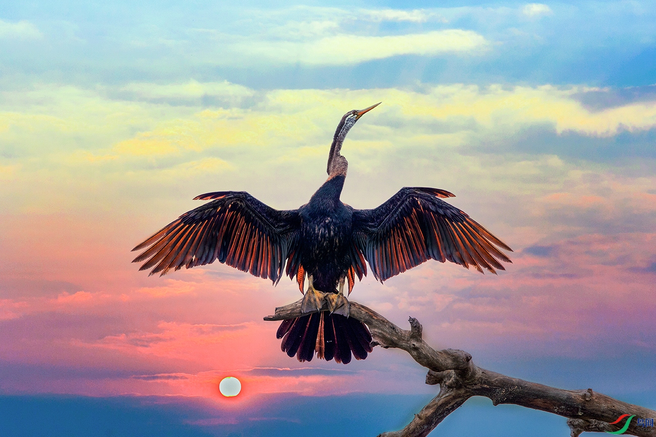 �ڸ�����----��ҫ����