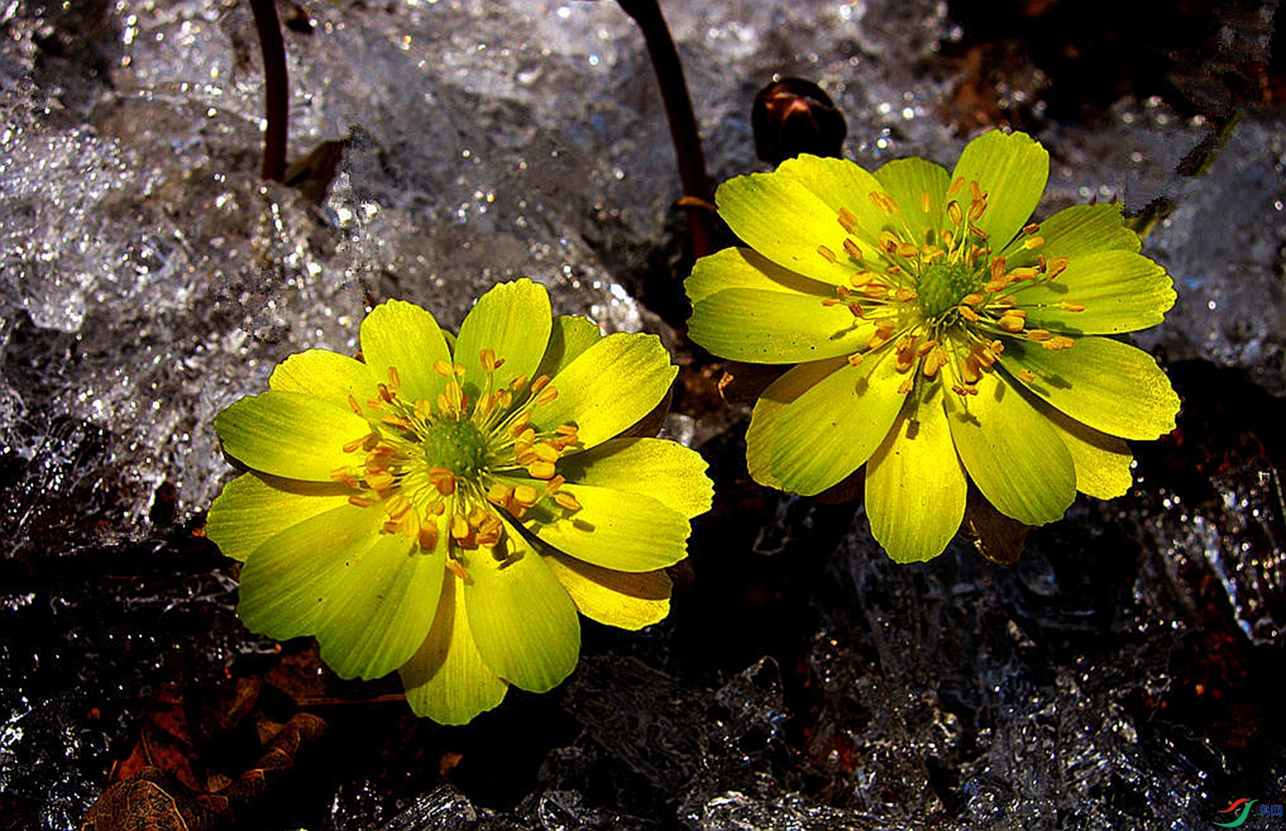 �Ȼ���Ҷ ~ ���յ (1)_����_����.jpg