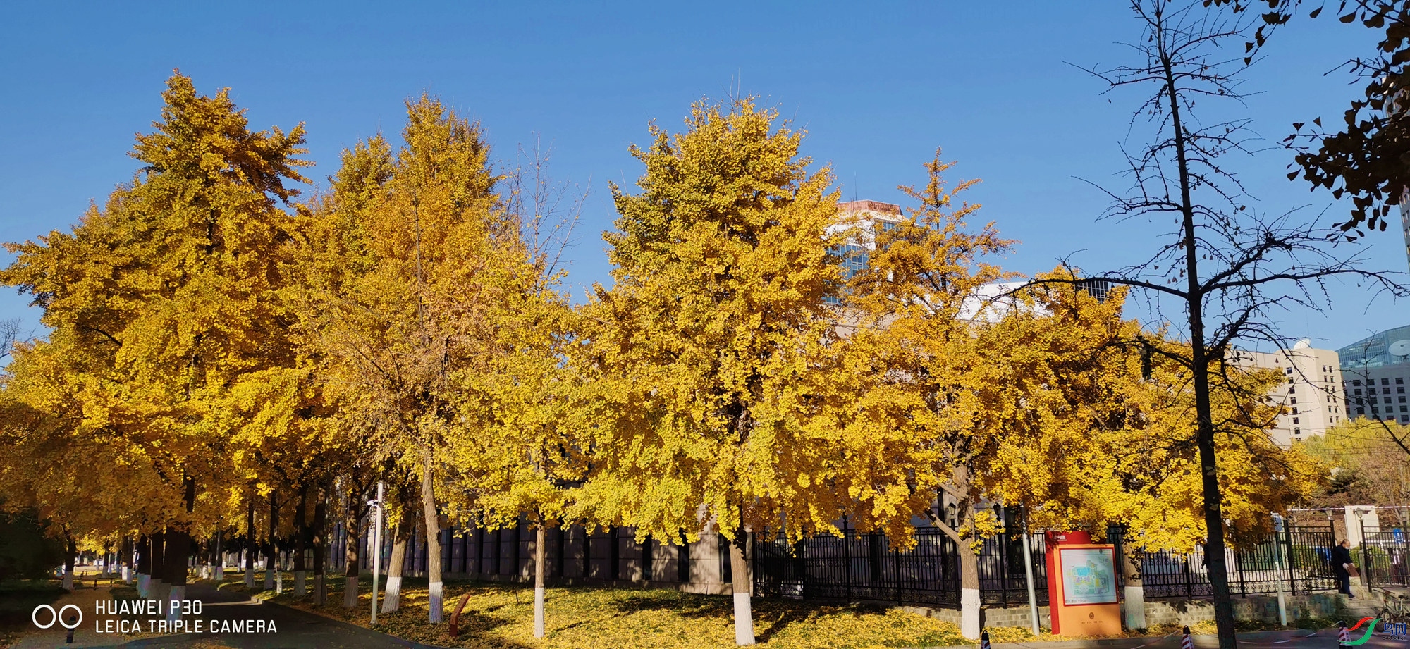 ΢��ͼƬ_20201113152447_����.jpg