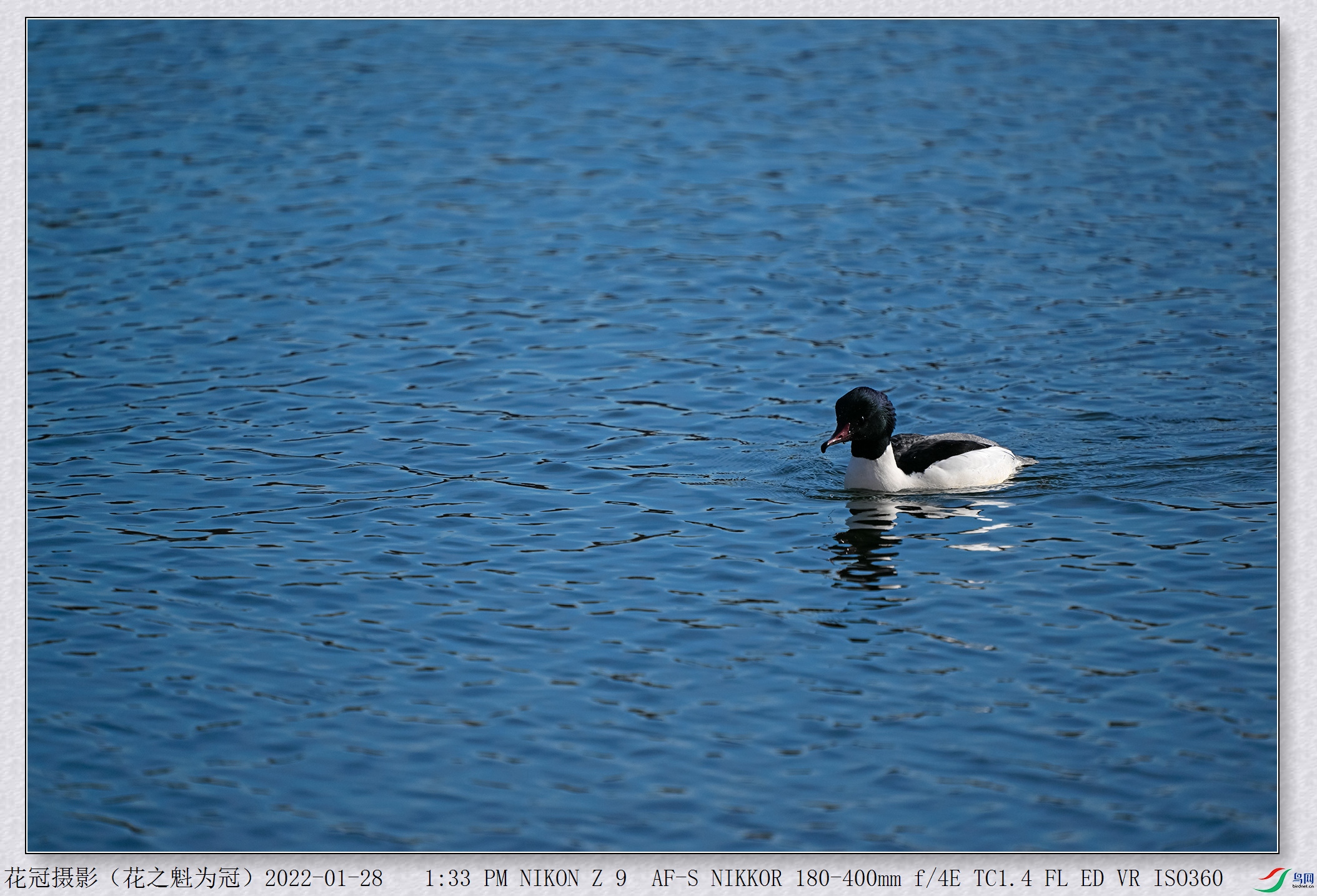 DSC_0415B-1_����.jpg